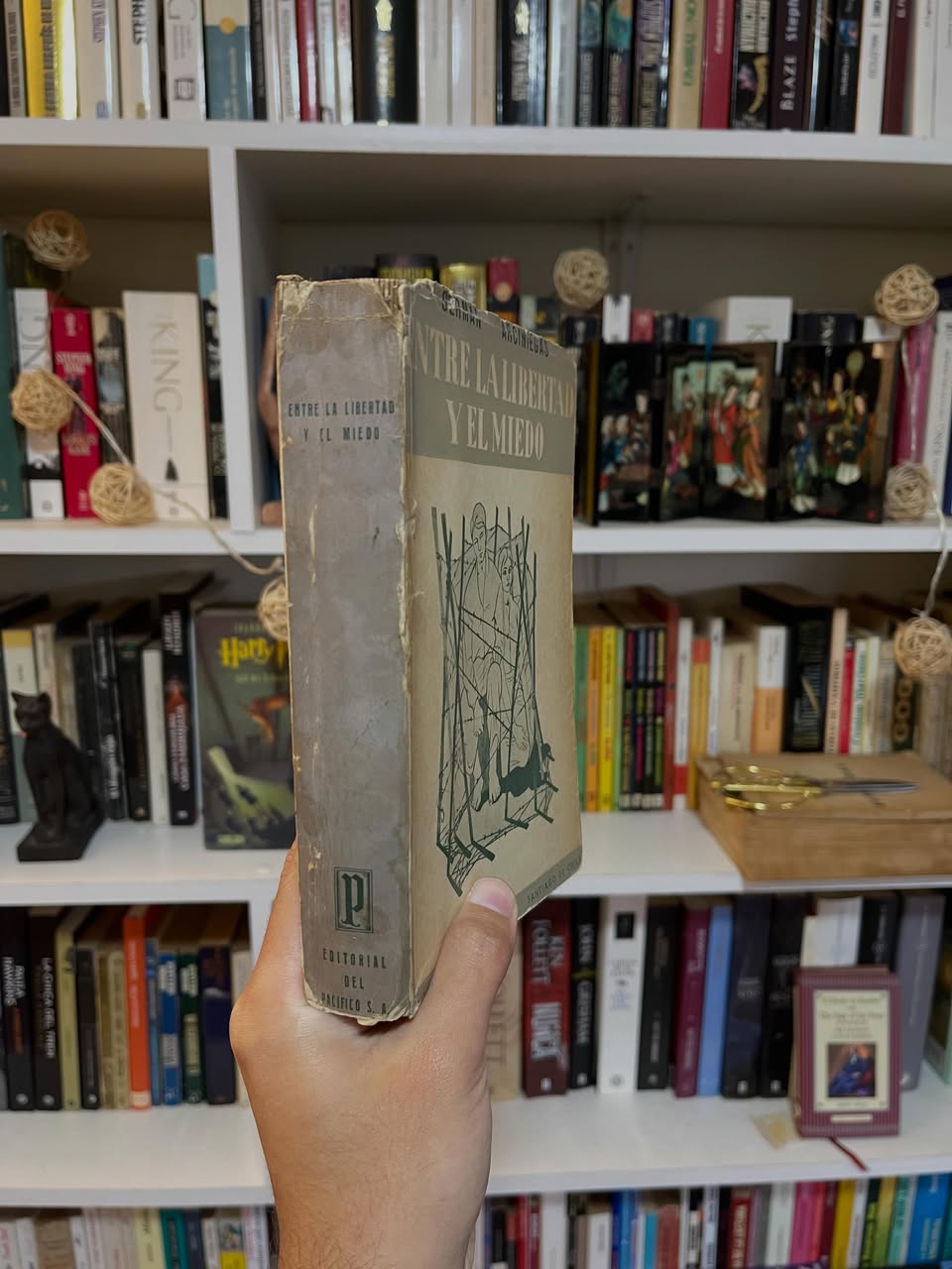 Entre la libertad y el miedo - Libros Frannie
