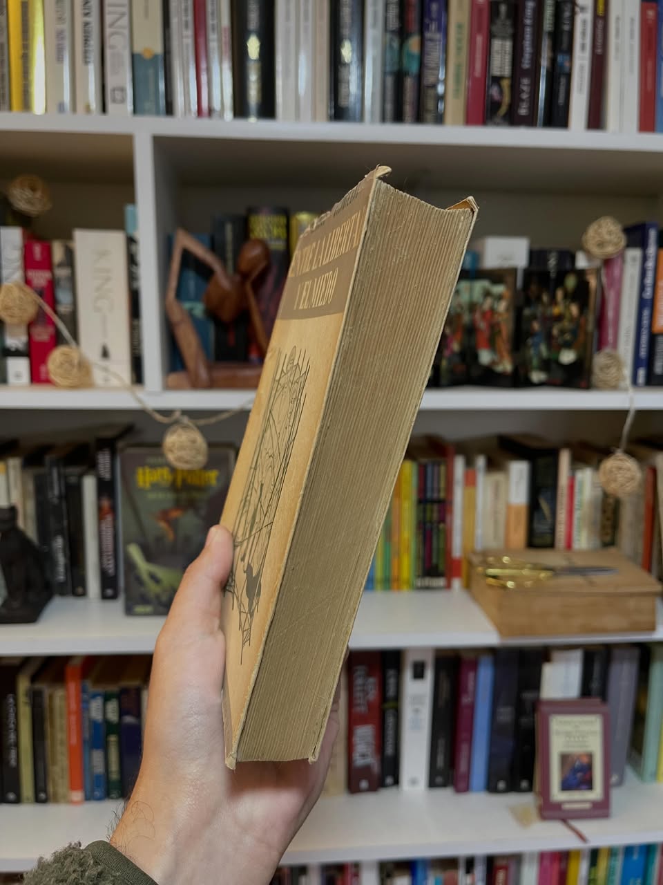 Entre la libertad y el miedo - Libros Frannie