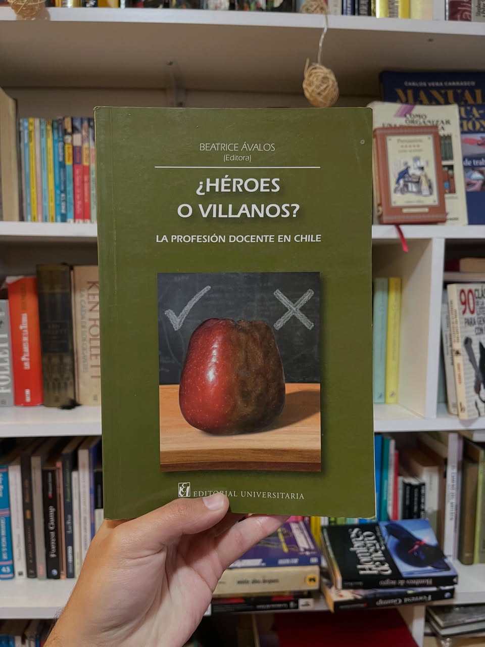 ¿Héroes o Villanos? La profesión docente en Chile - Libros Frannie