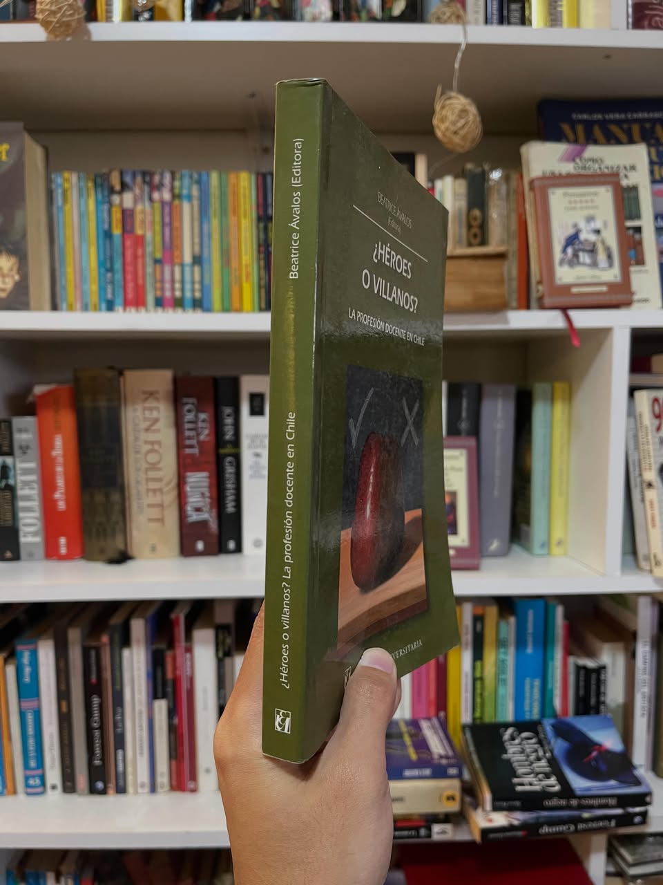 ¿Héroes o Villanos? La profesión docente en Chile - Libros Frannie