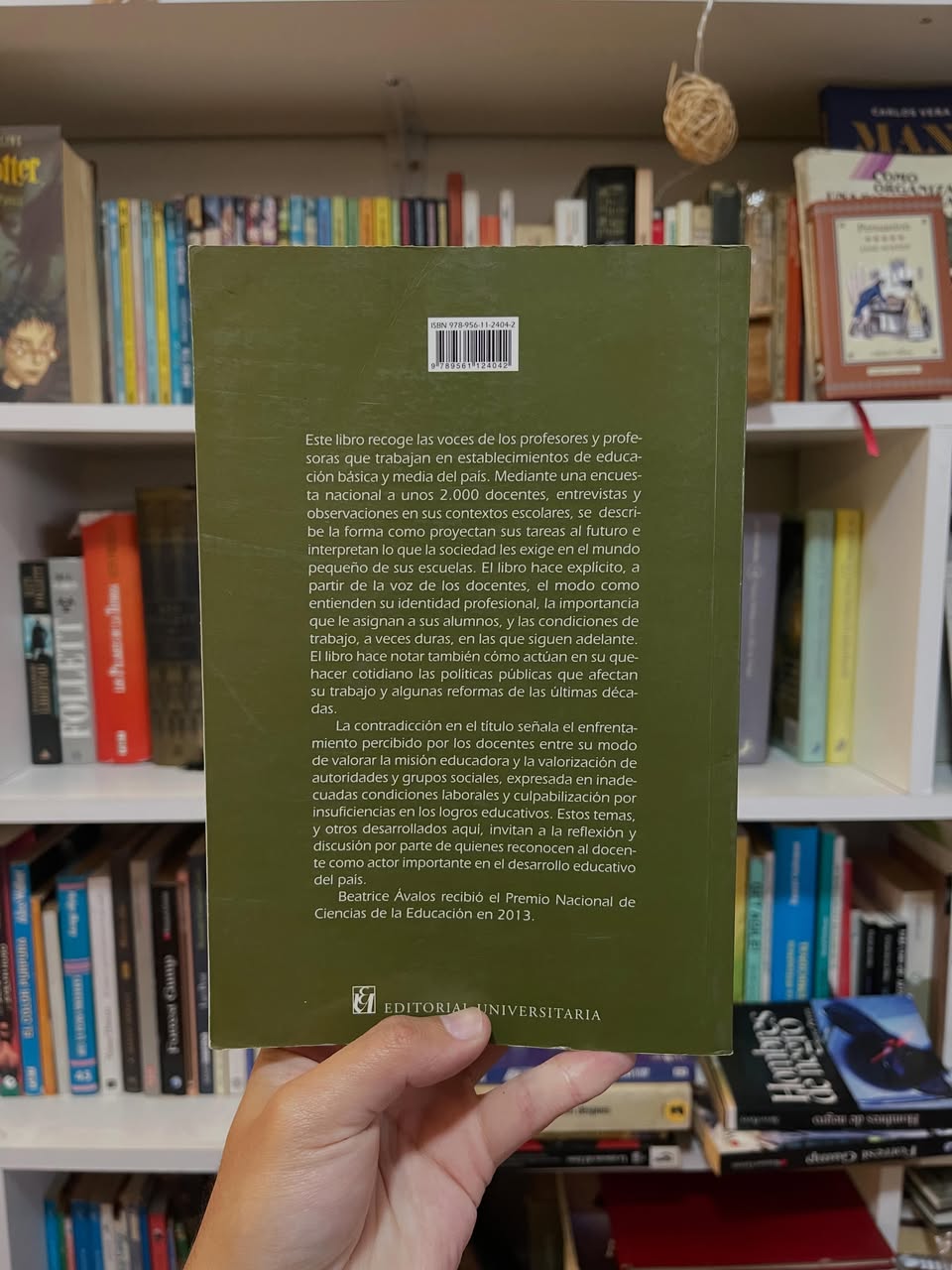 ¿Héroes o Villanos? La profesión docente en Chile - Libros Frannie
