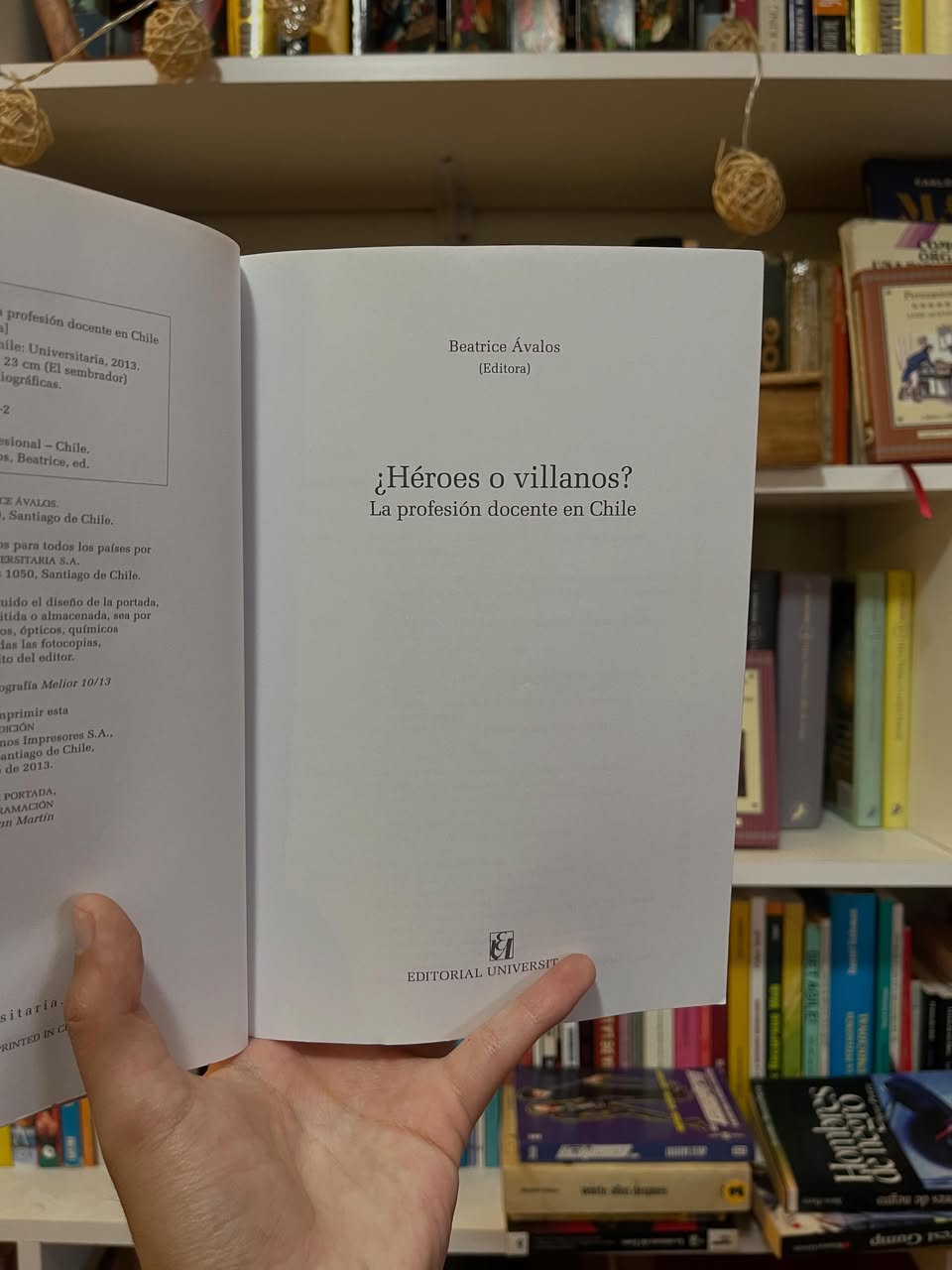 ¿Héroes o Villanos? La profesión docente en Chile - Libros Frannie