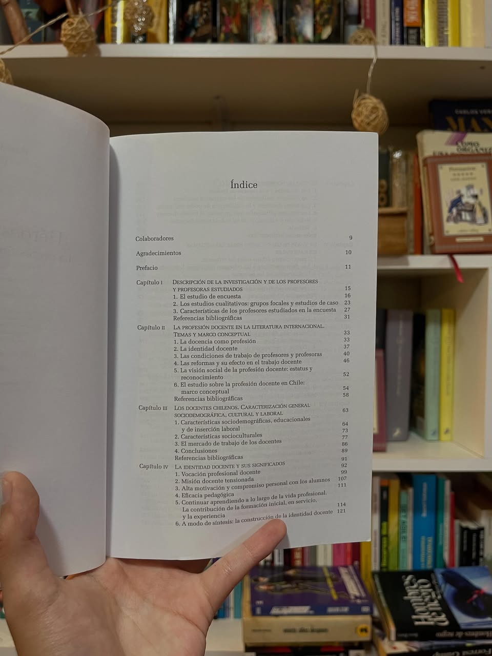 ¿Héroes o Villanos? La profesión docente en Chile - Libros Frannie