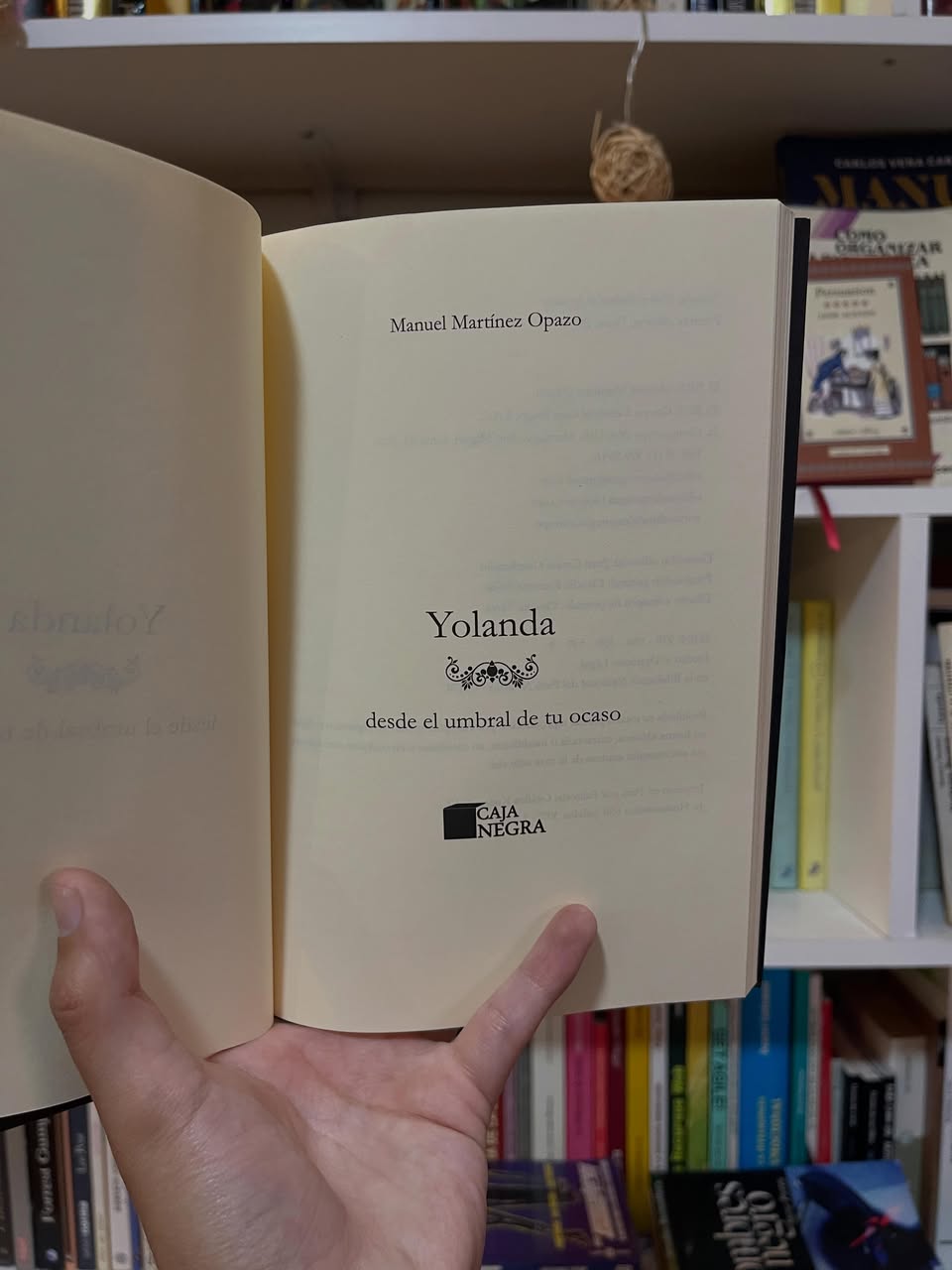 Yolanda, desde el umbral de tu ocaso - Libros Frannie