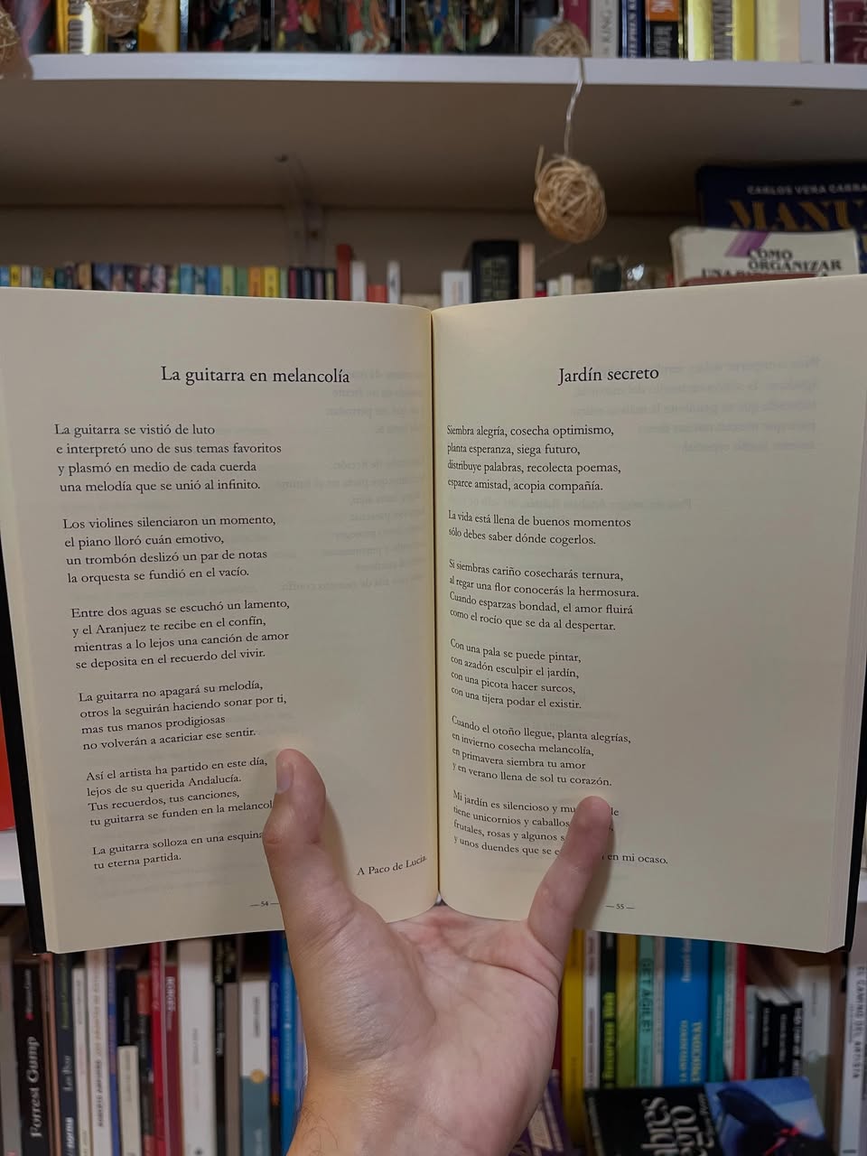Yolanda, desde el umbral de tu ocaso - Libros Frannie