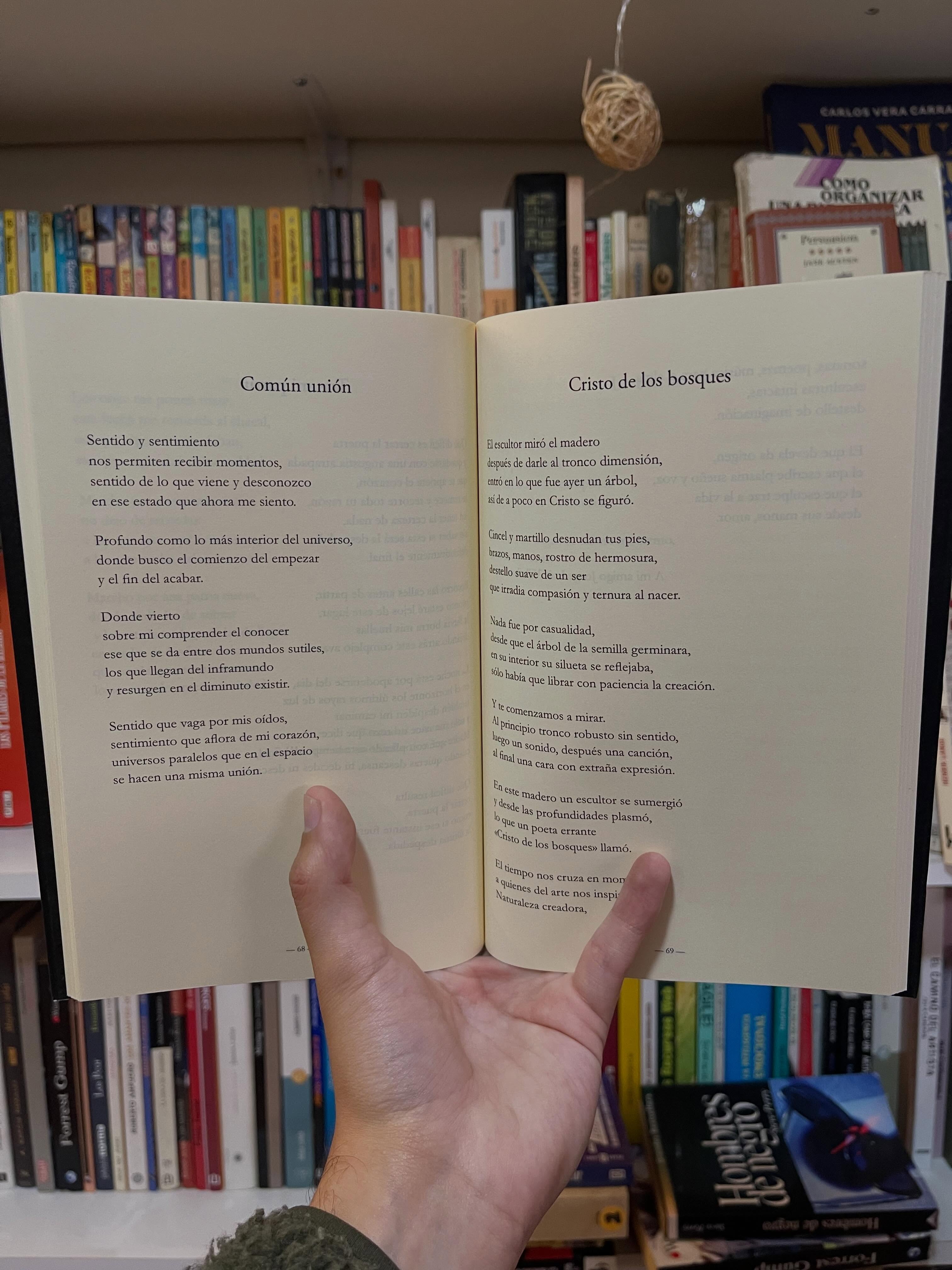 Yolanda, desde el umbral de tu ocaso - Libros Frannie