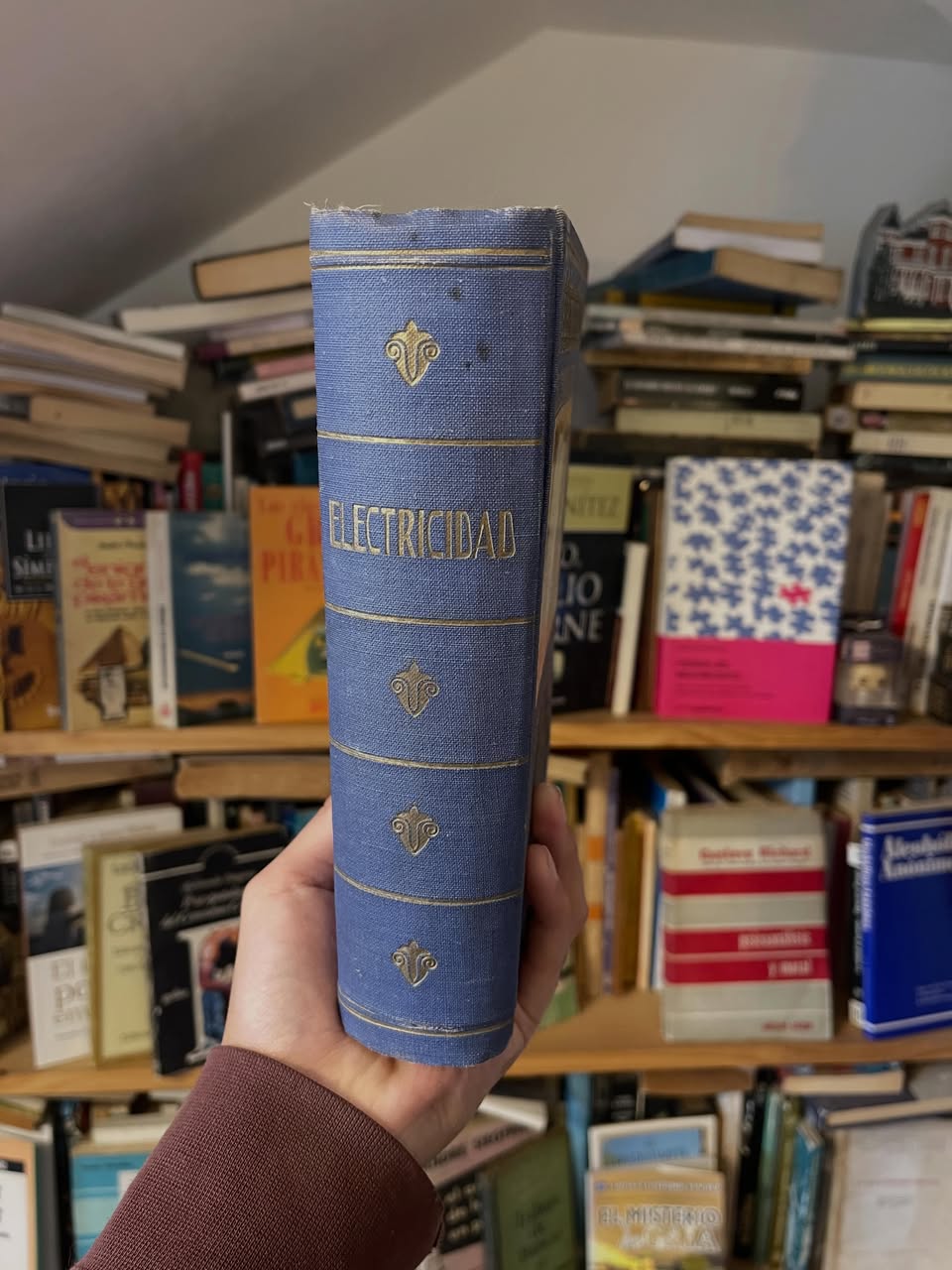Electricidad - Libros Frannie
