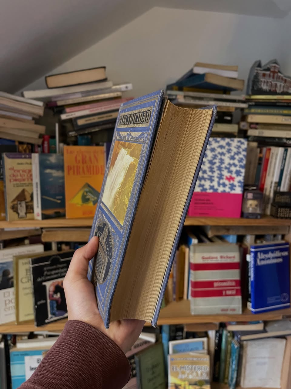 Electricidad - Libros Frannie