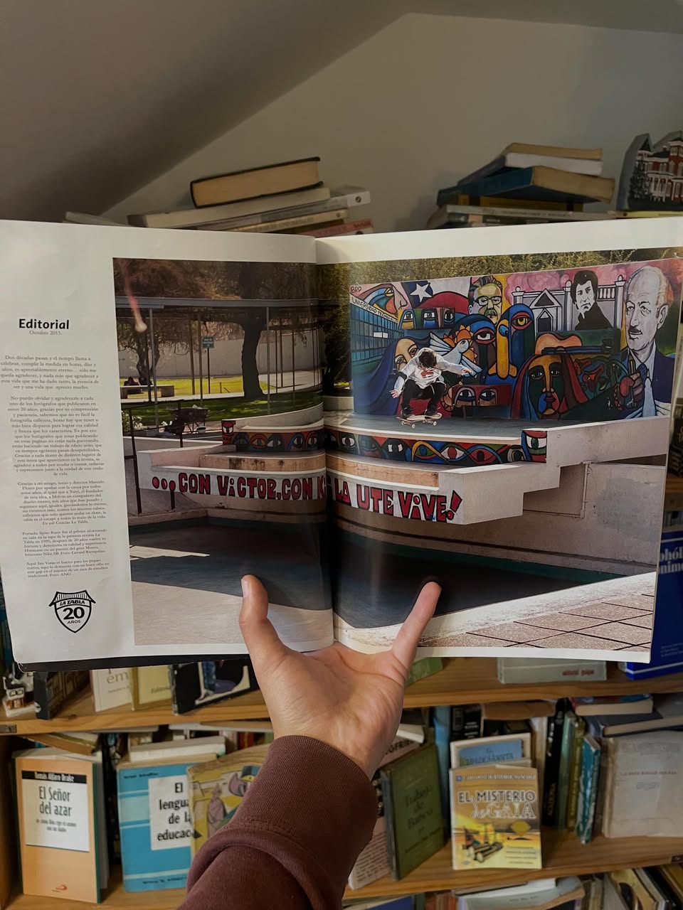 La Tabla. Revista de Skate - Libros Frannie