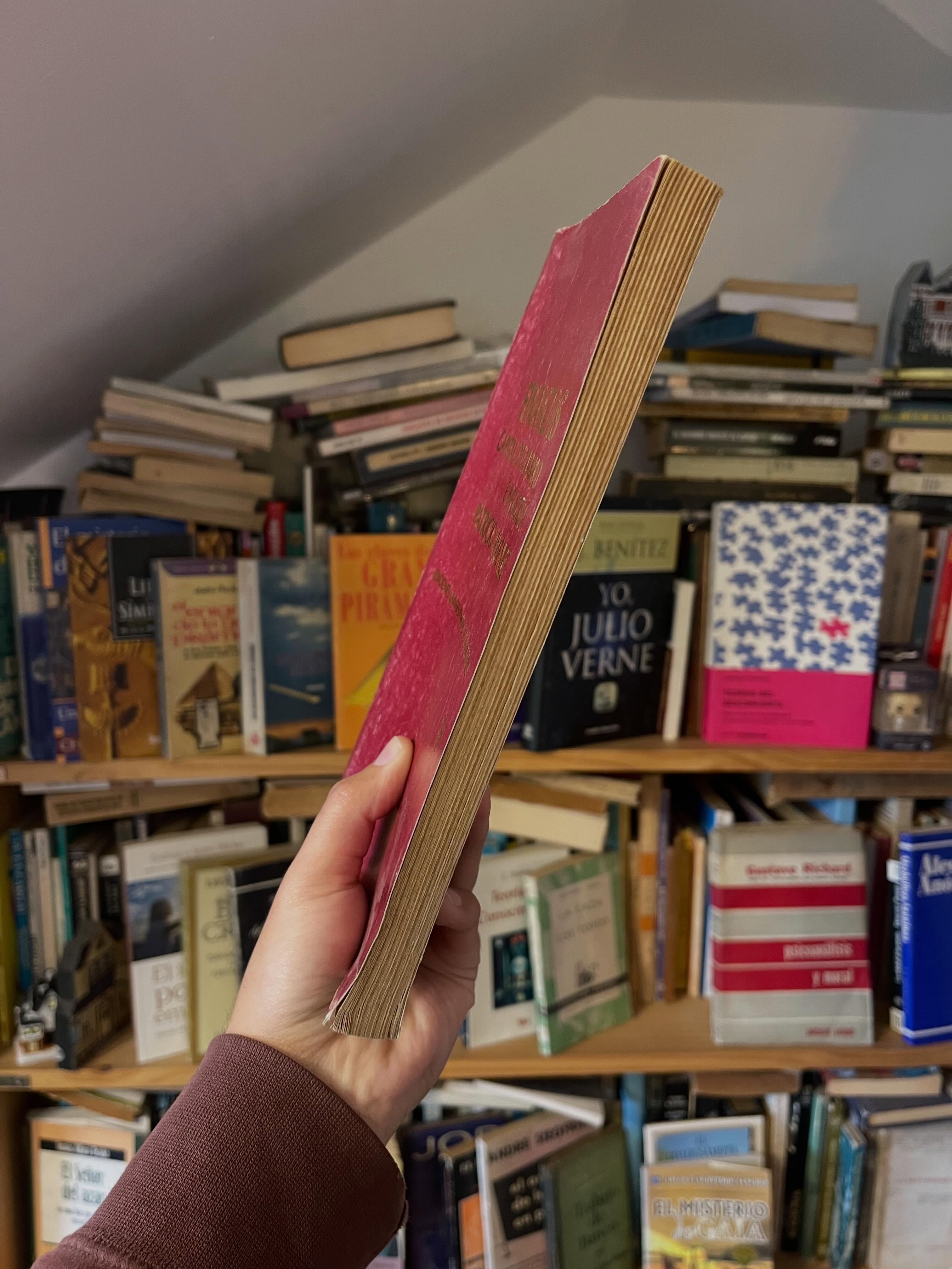 Finanzas. Capital de trabajo e inflación - Libros Frannie