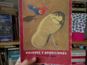 Visiones y apariciones - Libros Frannie