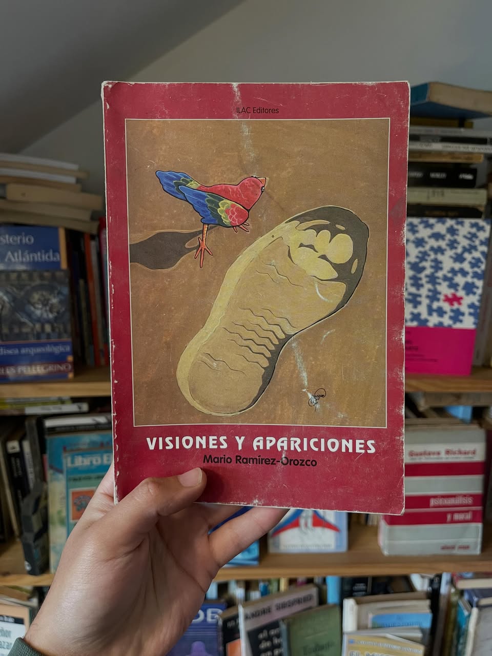 Visiones y apariciones - Libros Frannie
