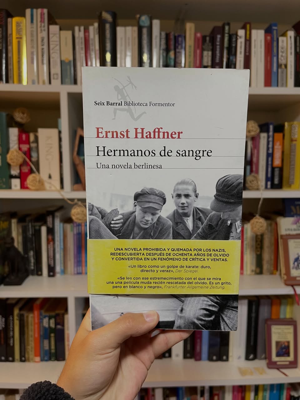 Hermanos de sangre - Libros Frannie