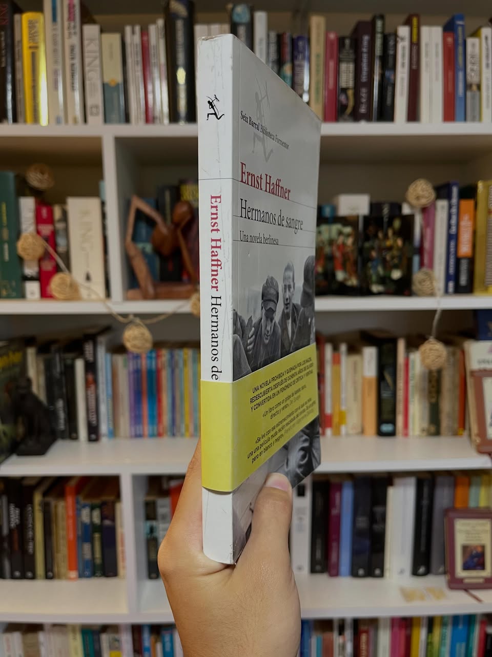 Hermanos de sangre - Libros Frannie