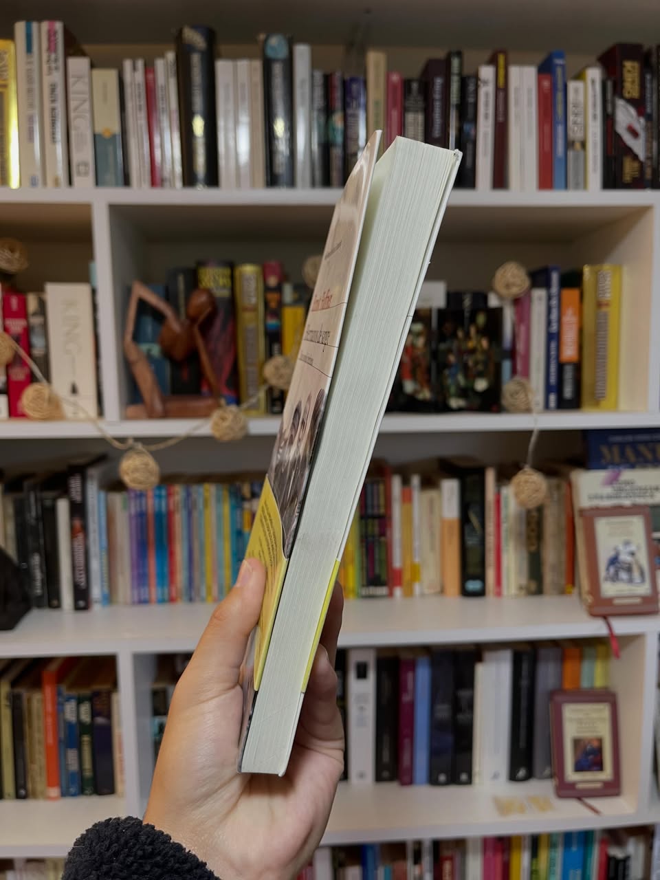 Hermanos de sangre - Libros Frannie