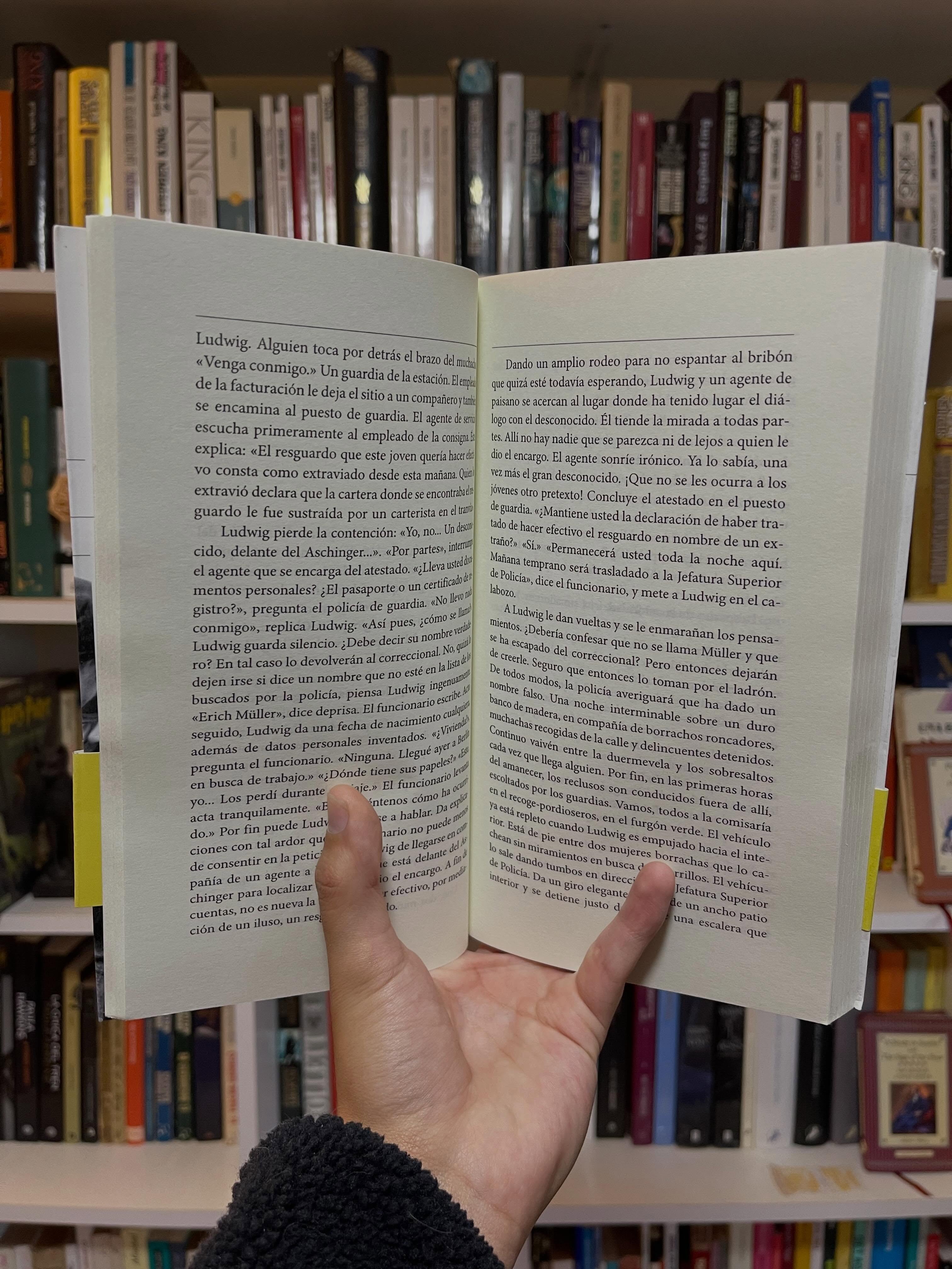 Hermanos de sangre - Libros Frannie