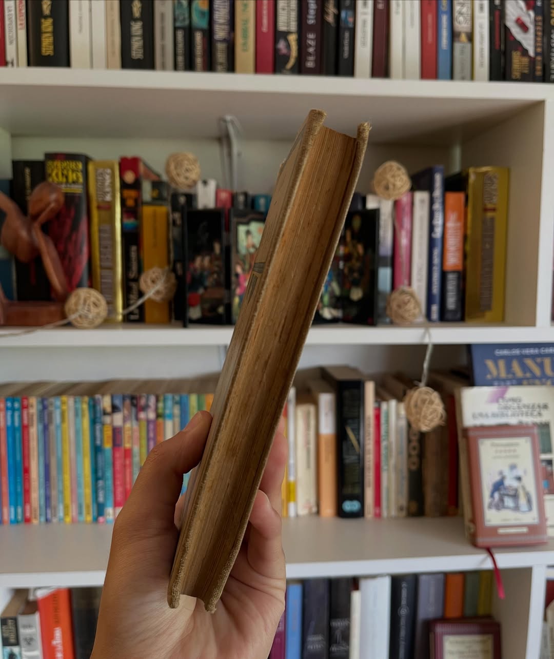 Rafael - Libros Frannie