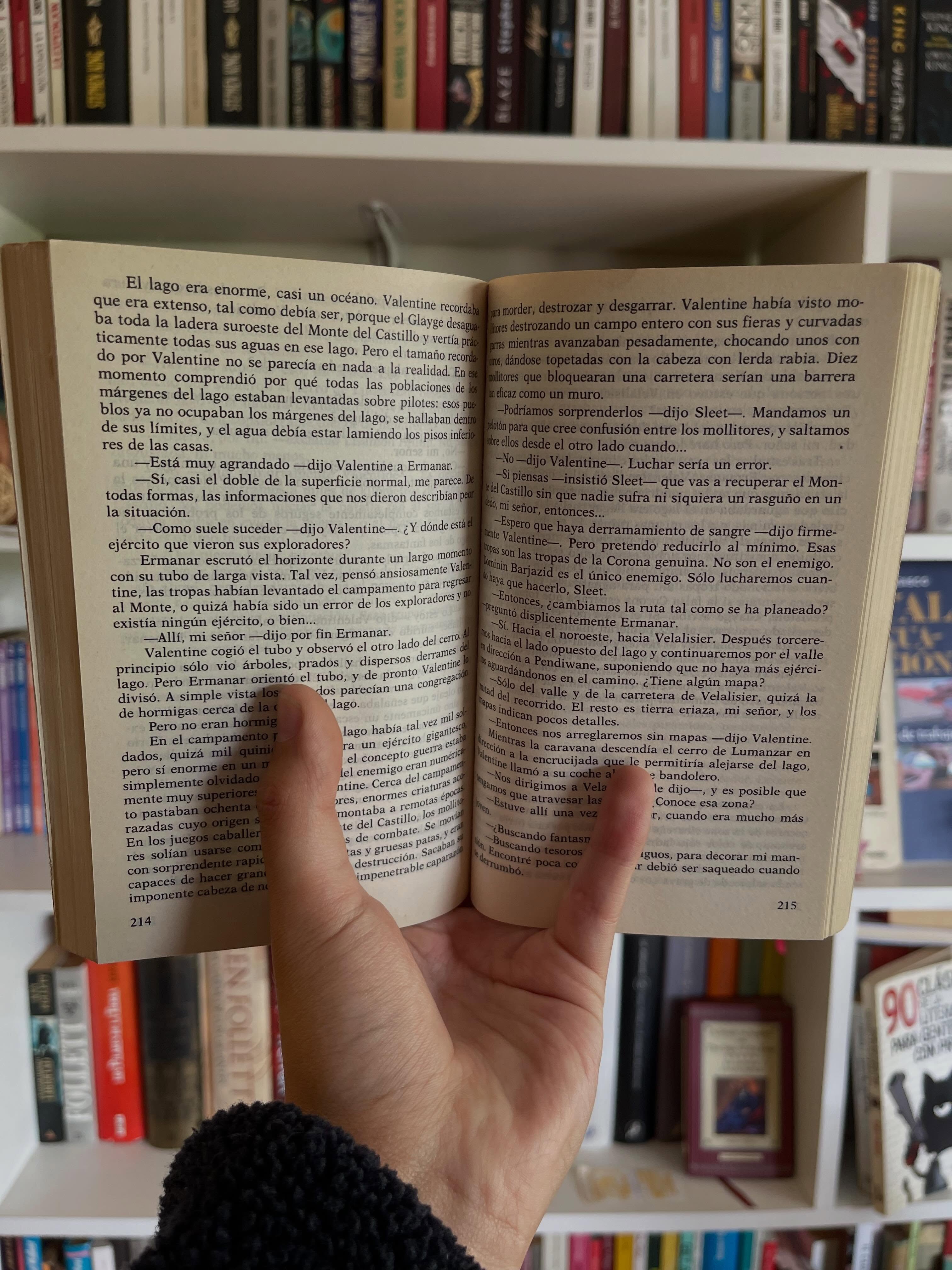 El laberinto de Majipur - Libros Frannie