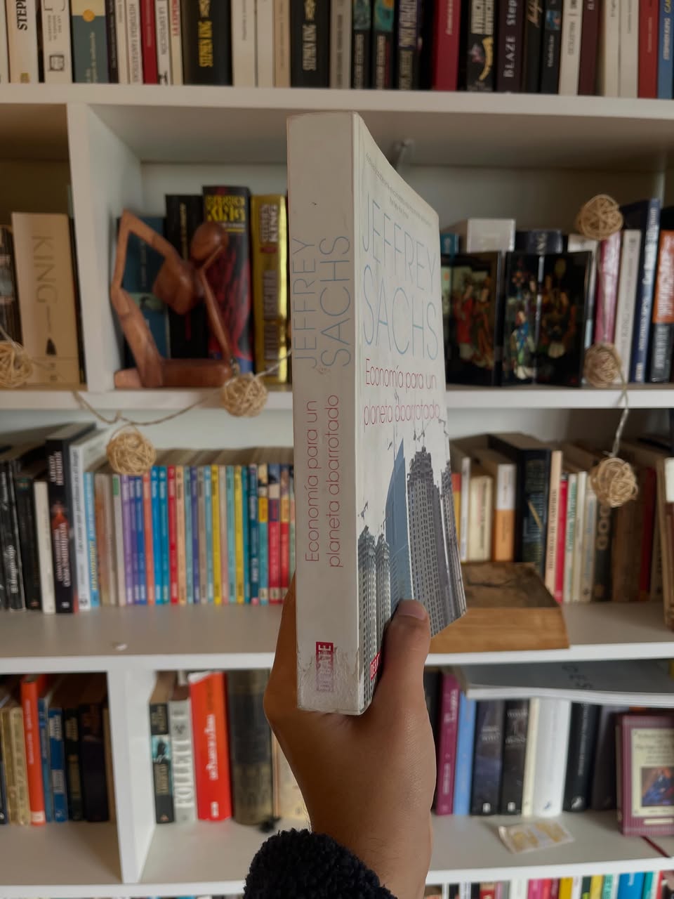 Economía para un planeta abarrotado - Libros Frannie