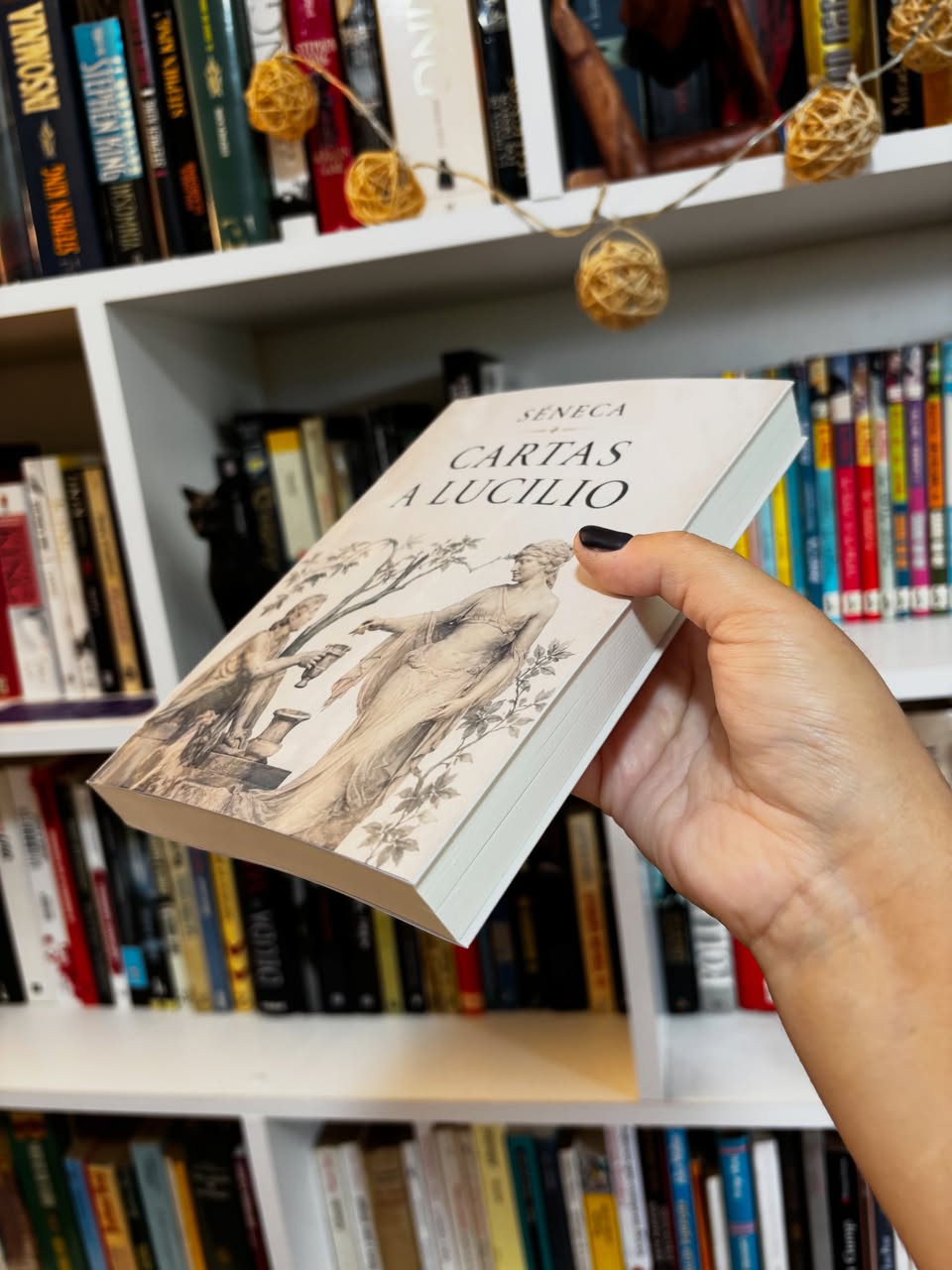 Cartas a Lucilio - Libros Frannie