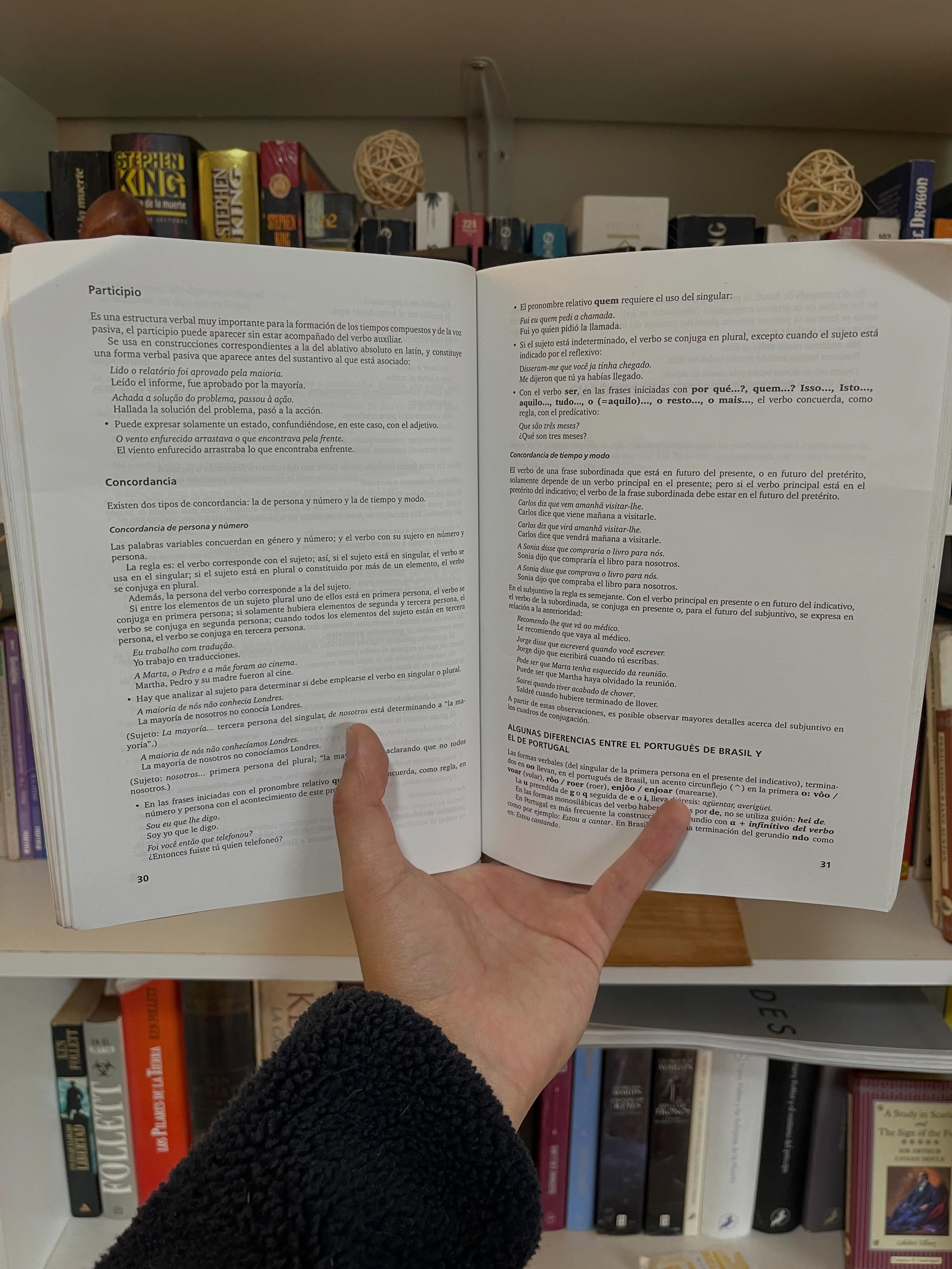 Verbos portugueses - Libros Frannie