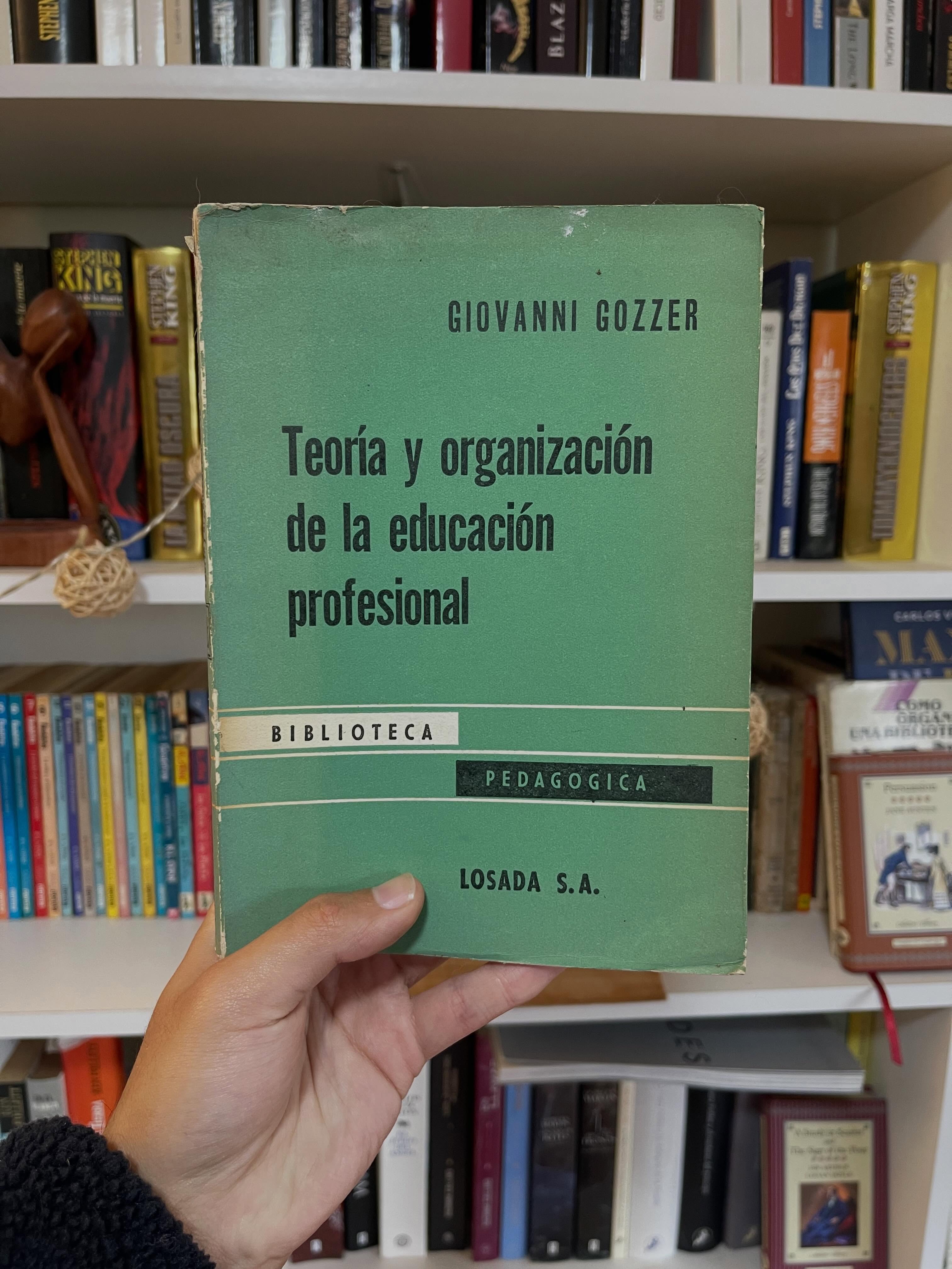 Teoría y organización de la educación profesional - Libros Frannie