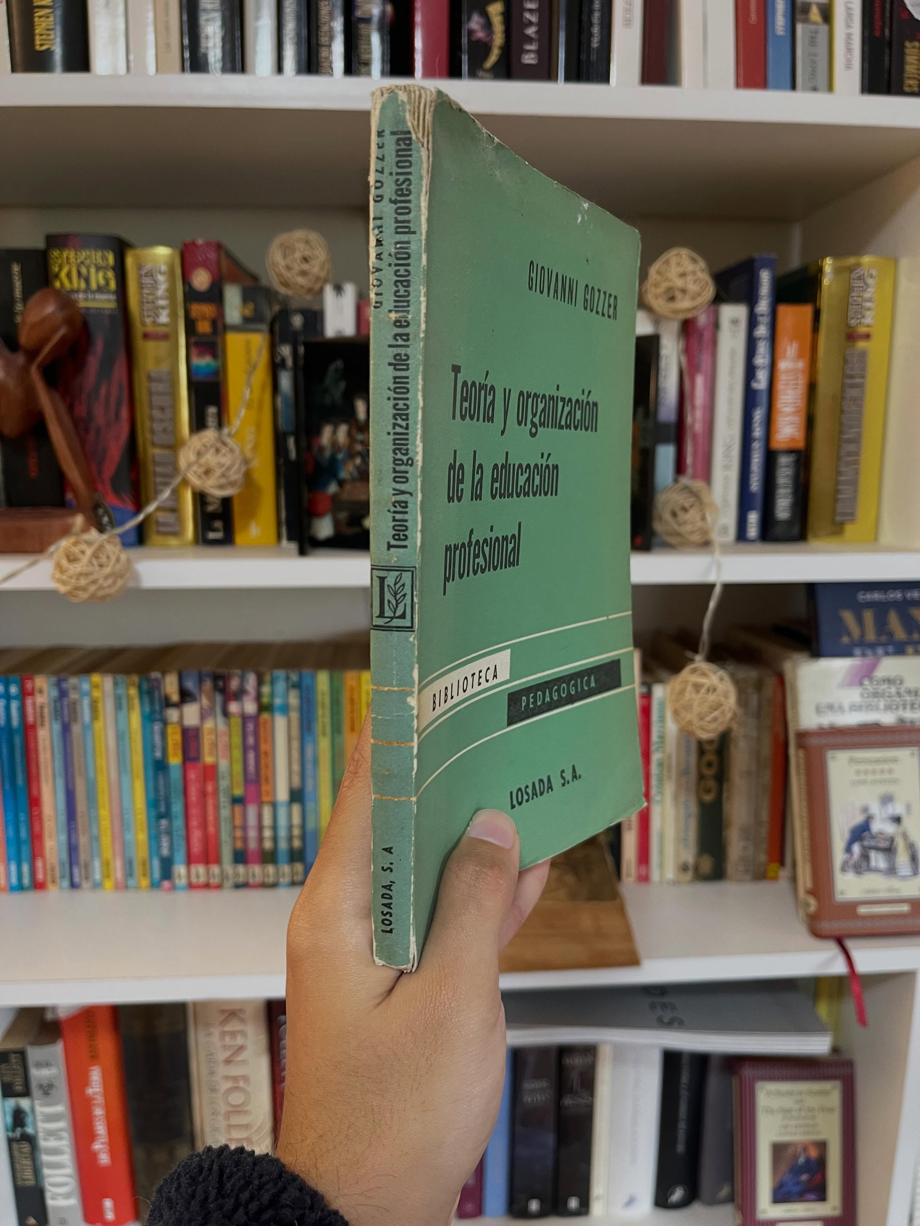 Teoría y organización de la educación profesional - Libros Frannie