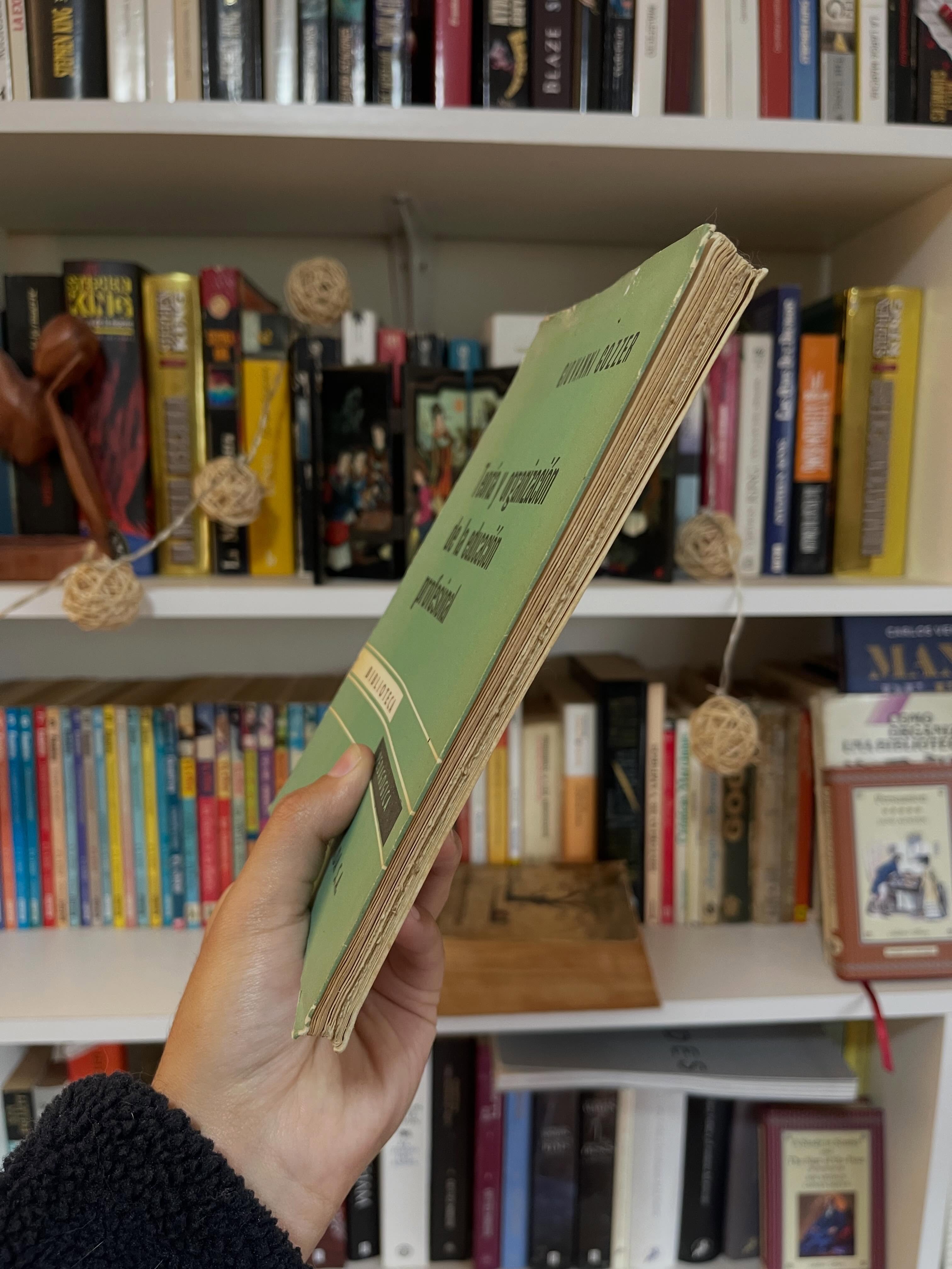 Teoría y organización de la educación profesional - Libros Frannie