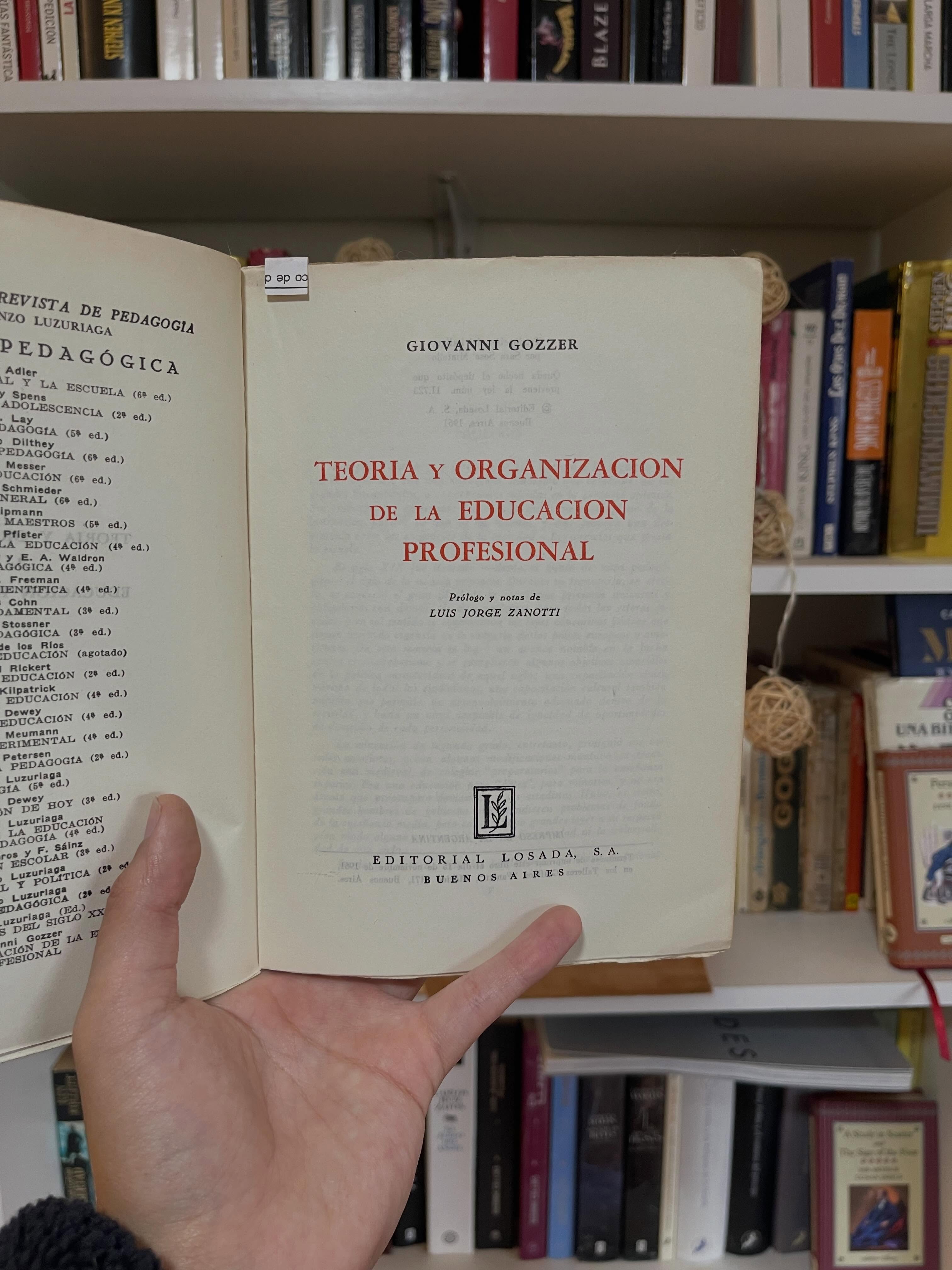 Teoría y organización de la educación profesional - Libros Frannie