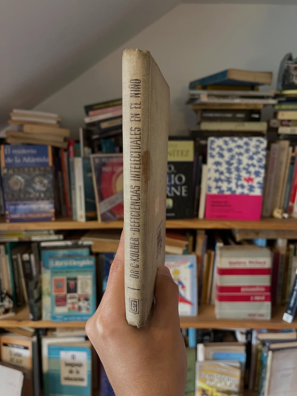 Las deficiencias intelectuales en el niño - Libros Frannie