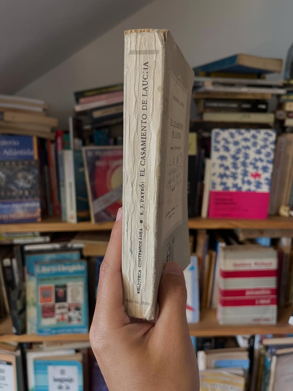 El casamiento de laucha - Libros Frannie