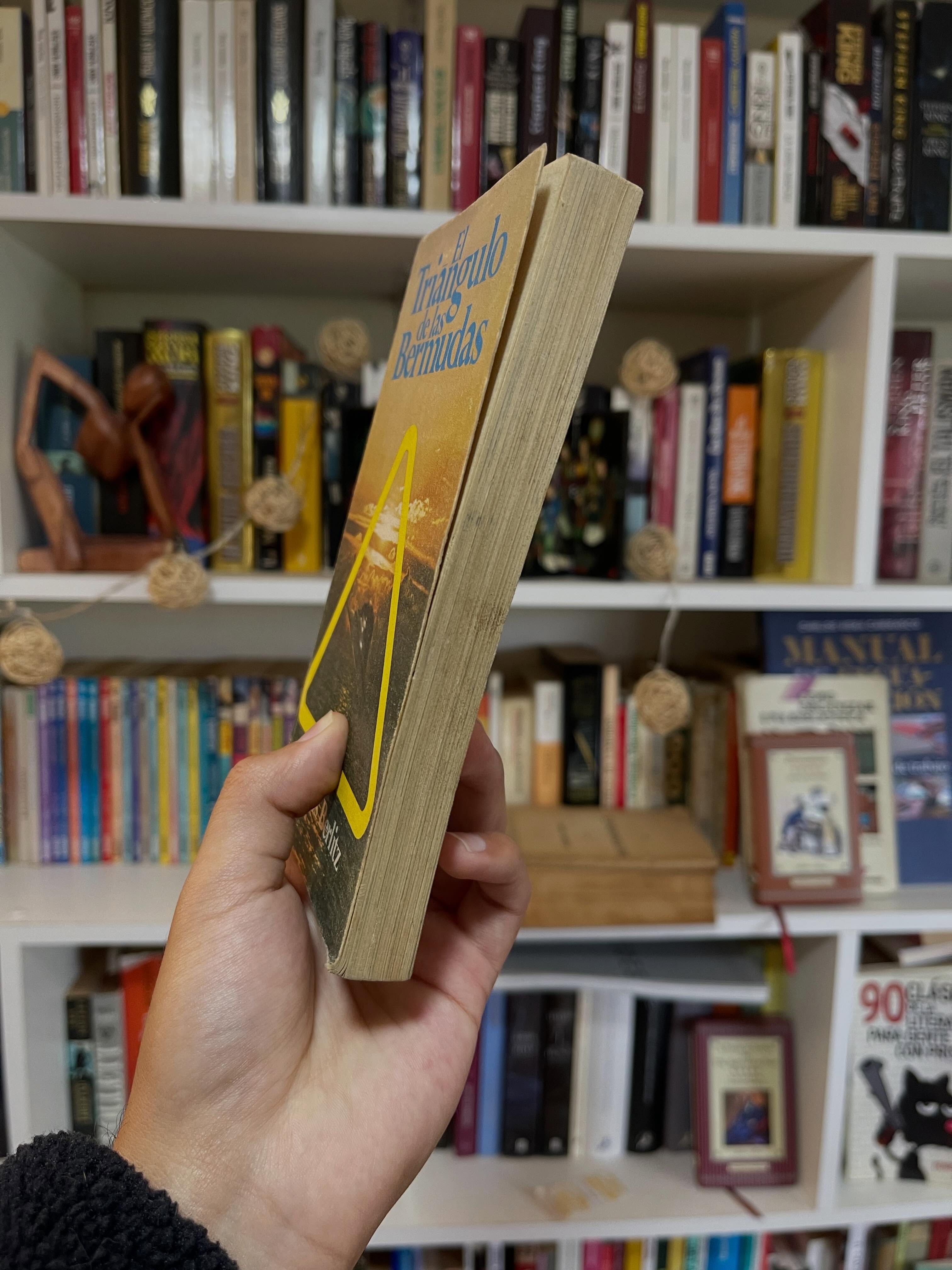 El triángulo de las Bermudas - Libros Frannie