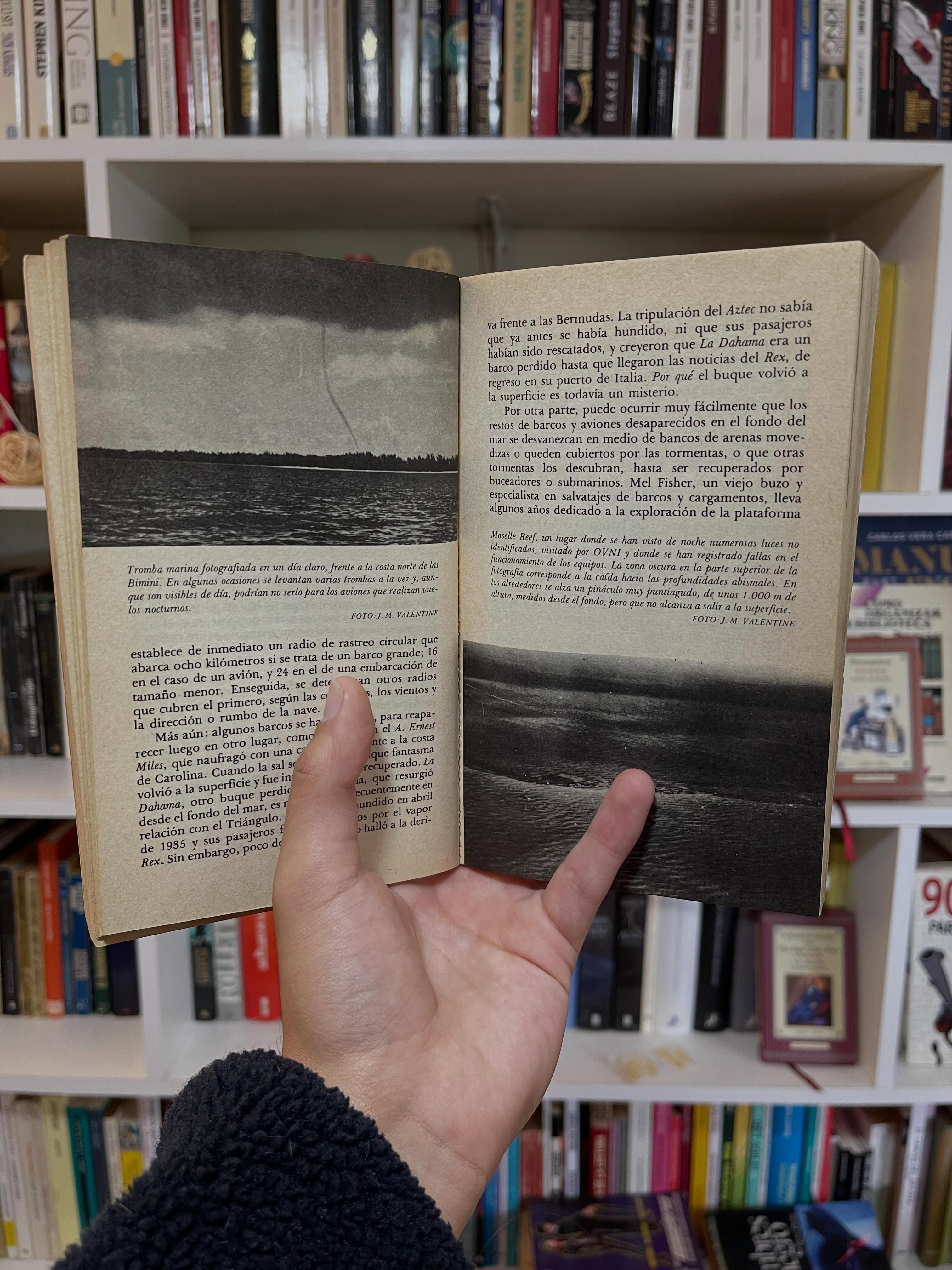 El triángulo de las Bermudas - Libros Frannie