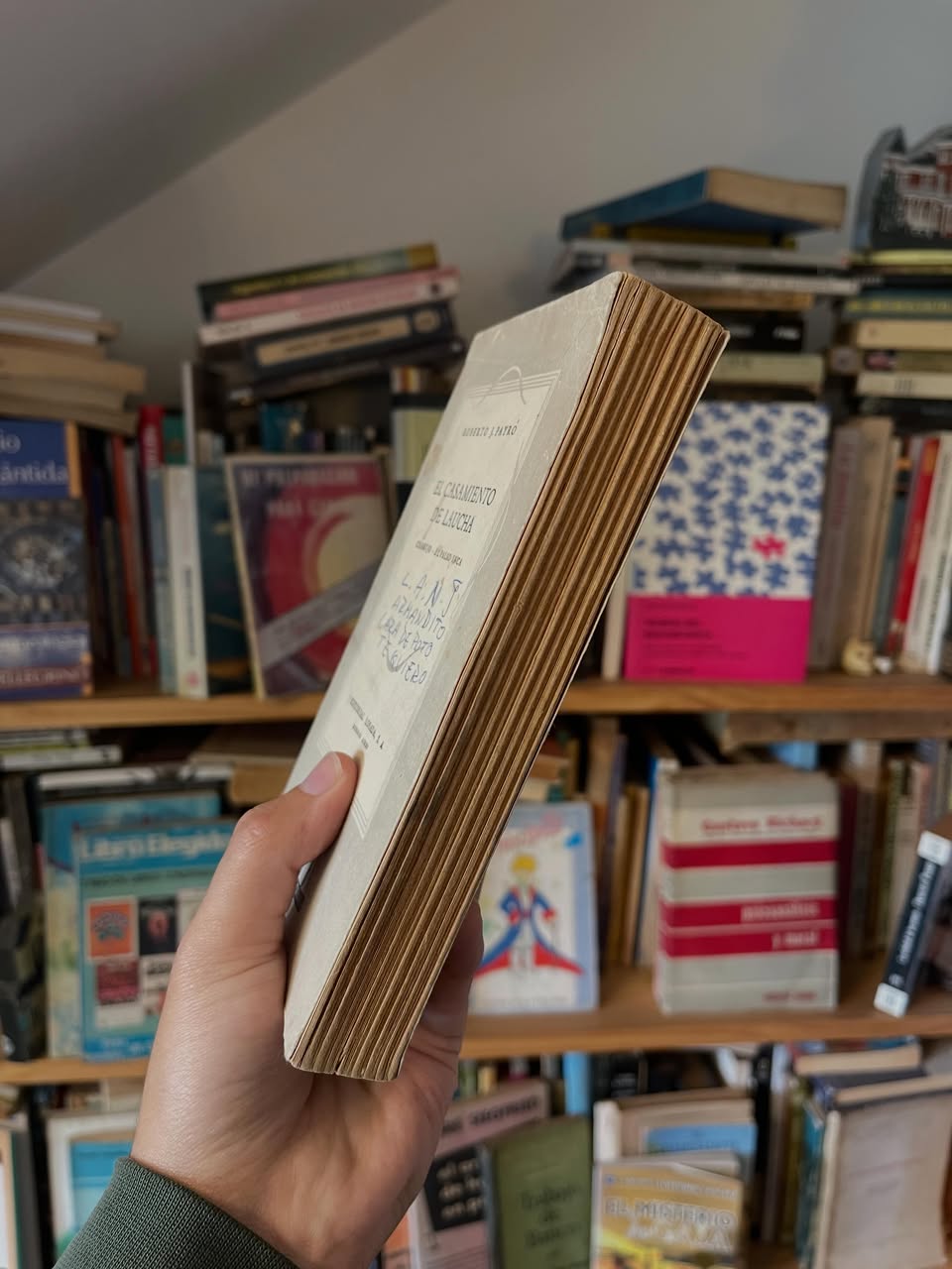 El casamiento de laucha - Libros Frannie