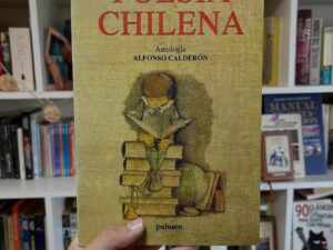 Poesía chilena. Antología - Libros Frannie