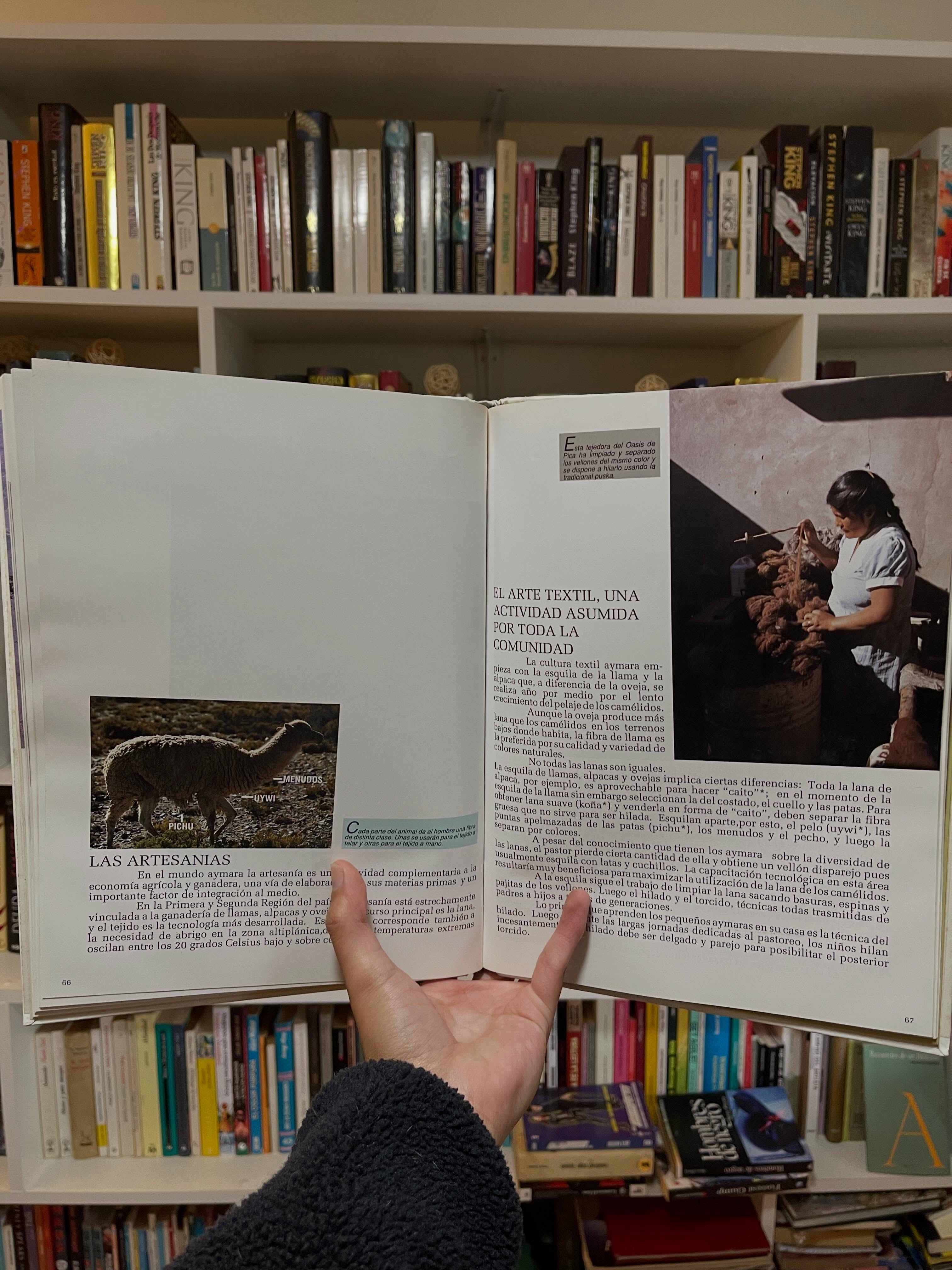 Norte grande. 500 años después - Libros Frannie