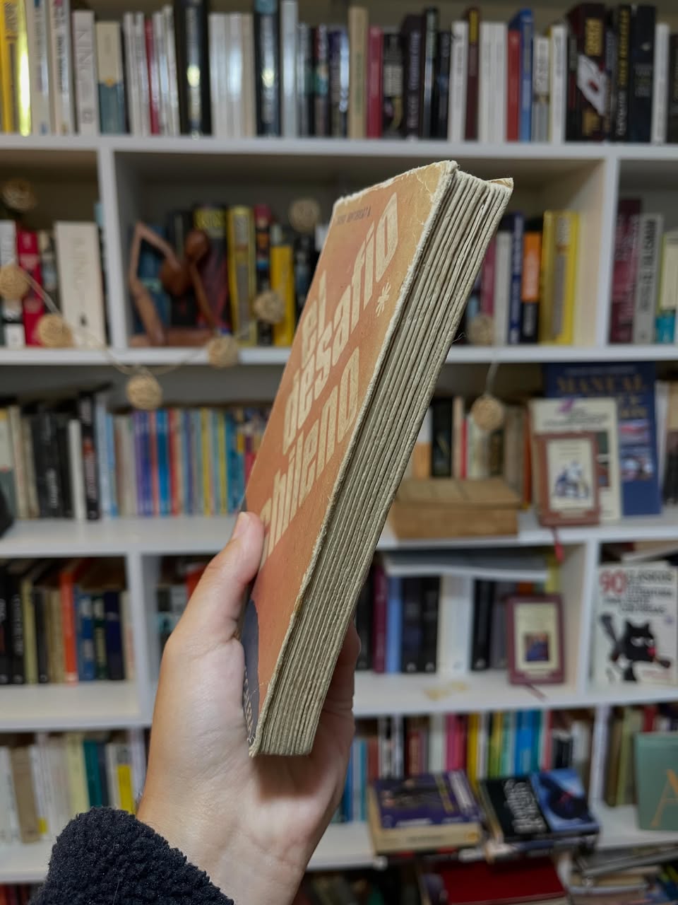 El desafío chileno. Subir o bajar la escalera - Libros Frannie