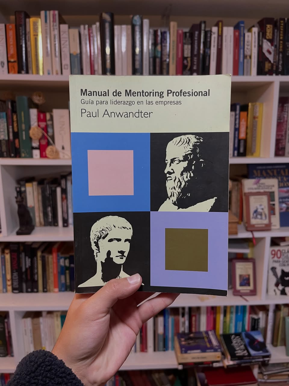 Manual de Mentoring Profesional. Guía para liderazgo en las empresas - Libros Frannie