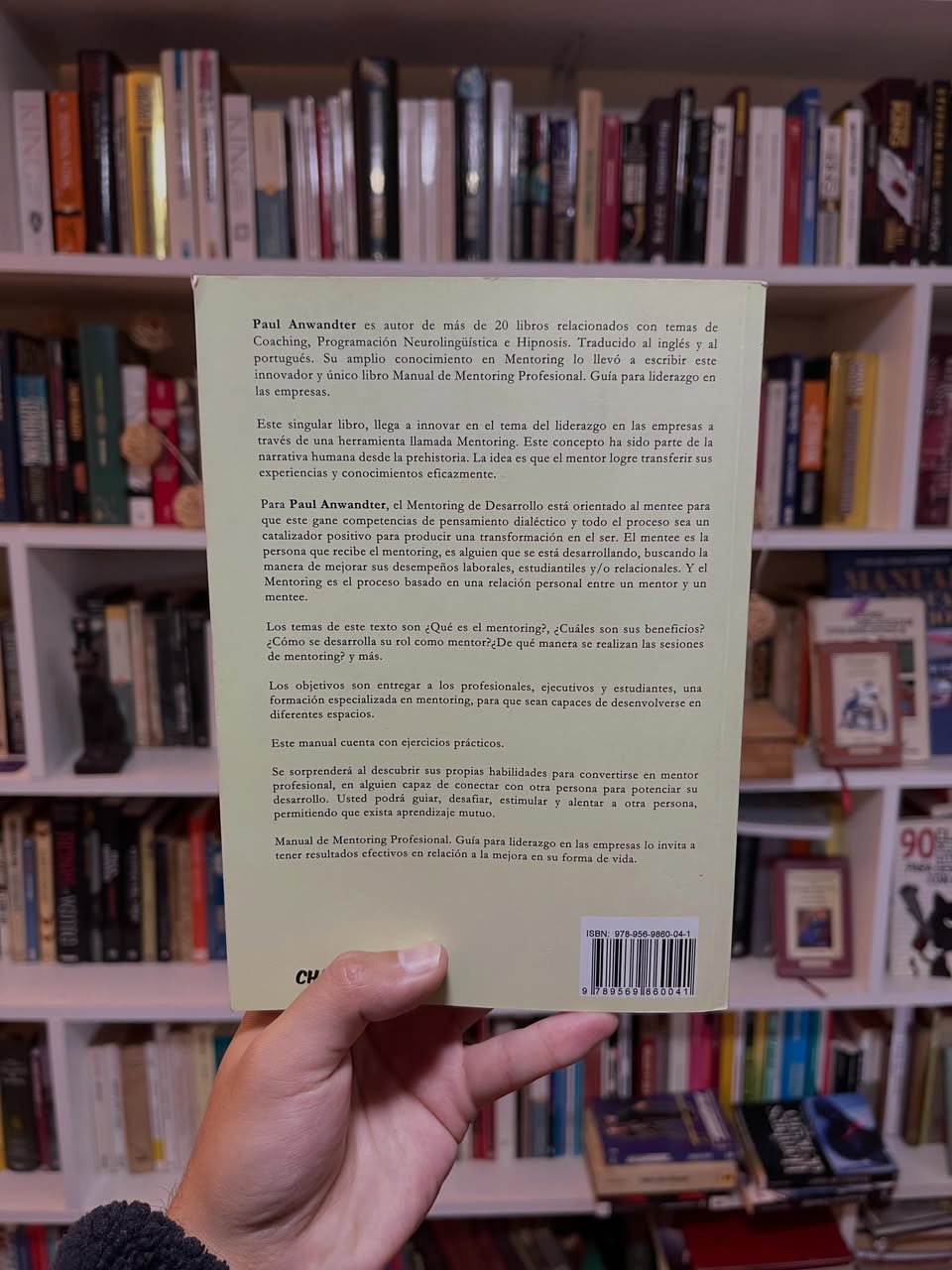 Manual de Mentoring Profesional. Guía para liderazgo en las empresas - Libros Frannie