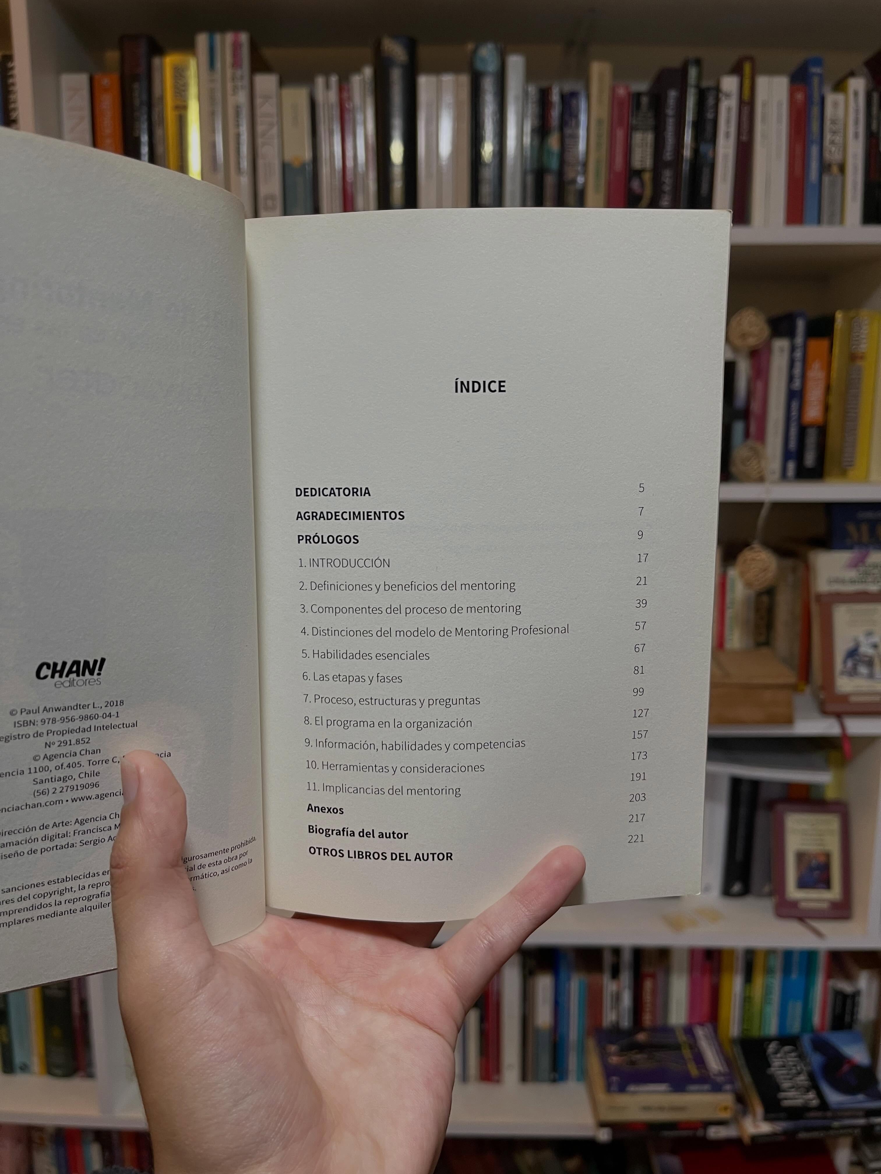 Manual de Mentoring Profesional. Guía para liderazgo en las empresas - Libros Frannie