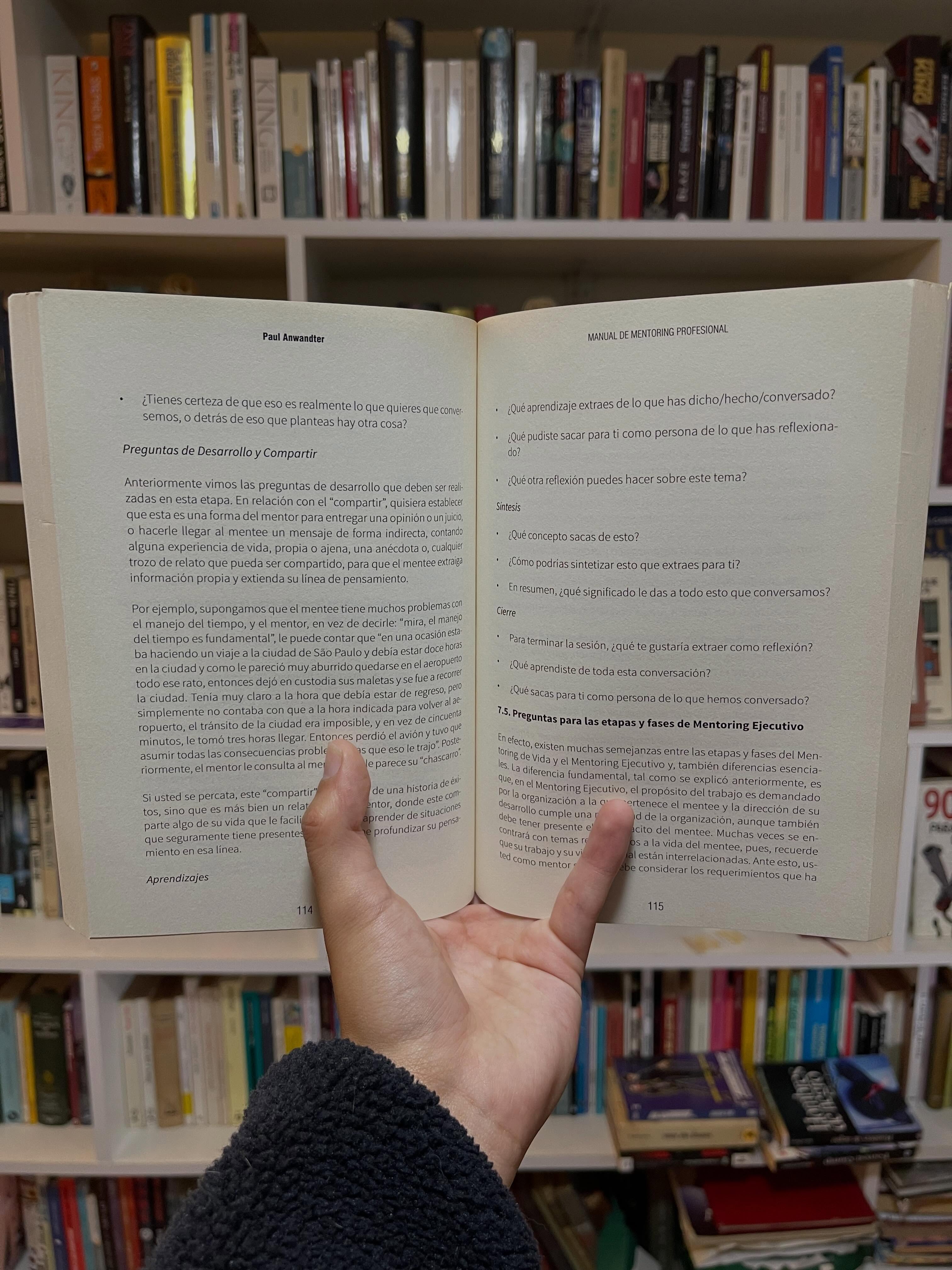 Manual de Mentoring Profesional. Guía para liderazgo en las empresas - Libros Frannie