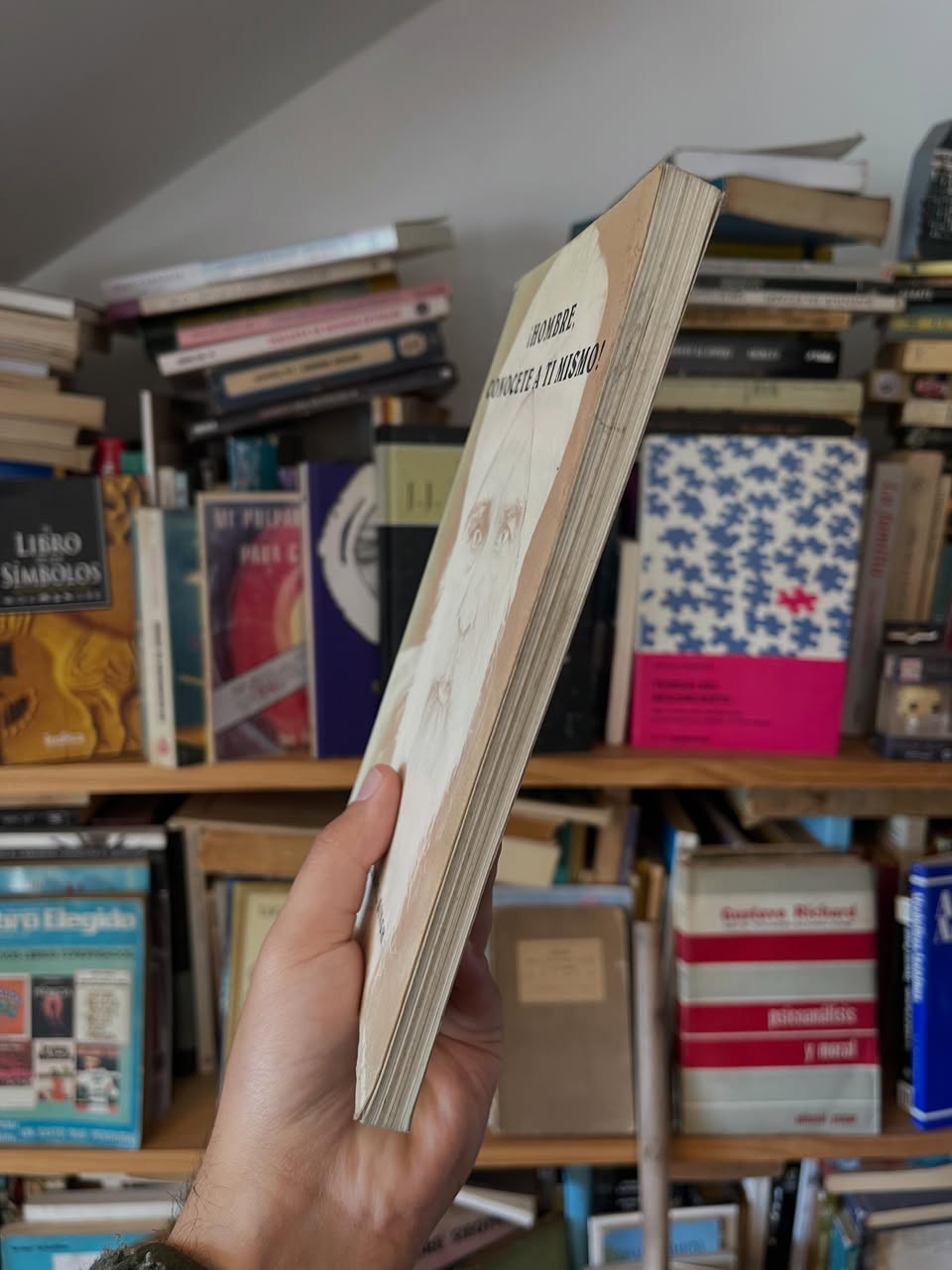 ¡Hombre, conócete a ti mismo! - Libros Frannie