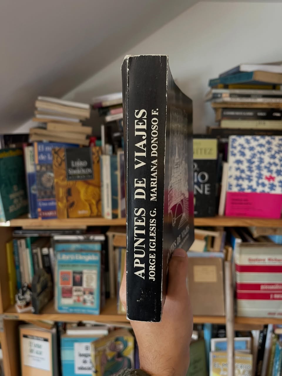 Apuntes de Viajes - Libros Frannie