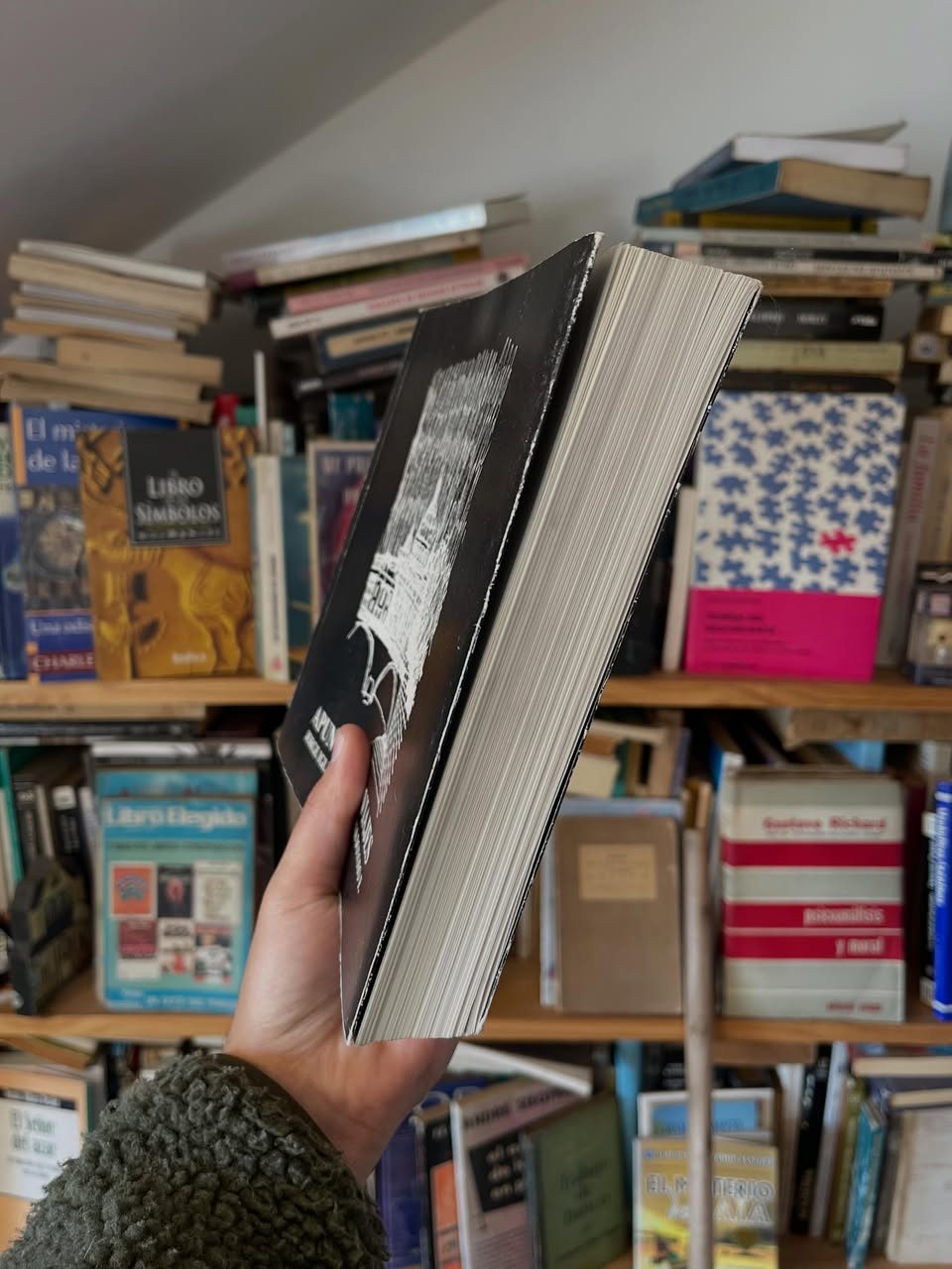 Apuntes de Viajes - Libros Frannie