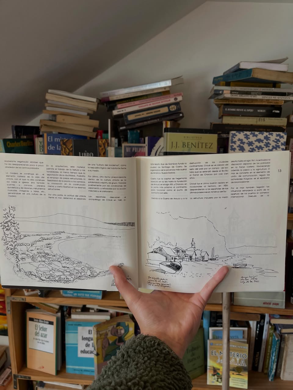 Apuntes de Viajes - Libros Frannie