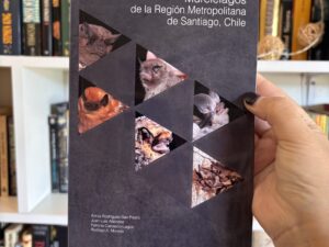 MURCIÉLAGOS de la región Metropolitana de Santiago, Chile