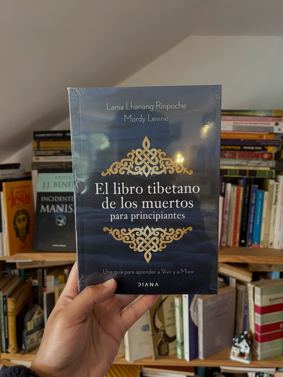 El libro tibetano de los muertos para principiantes