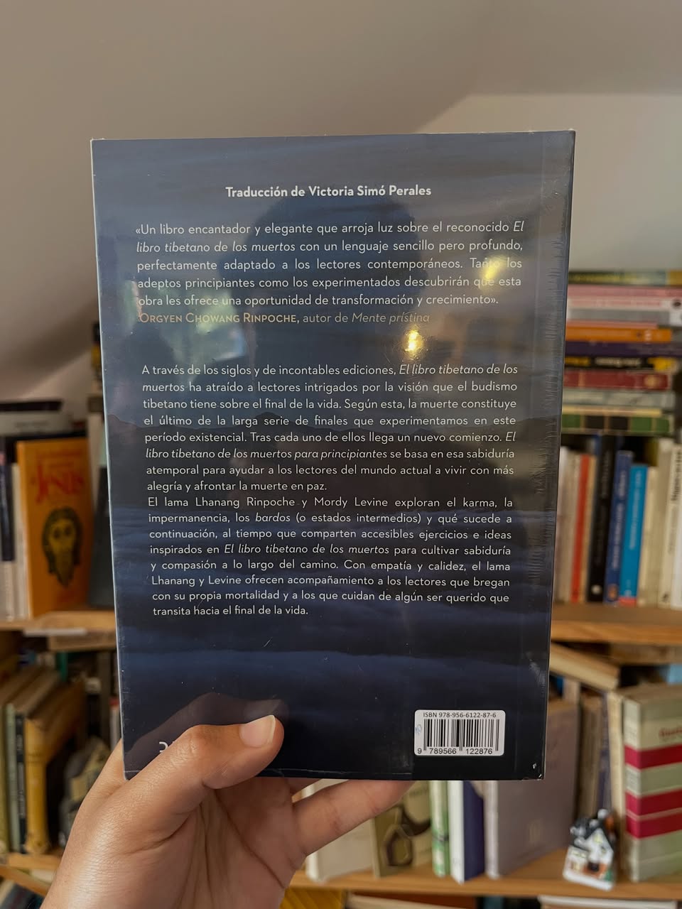 El libro tibetano de los muertos para principiantes - Imagen 2