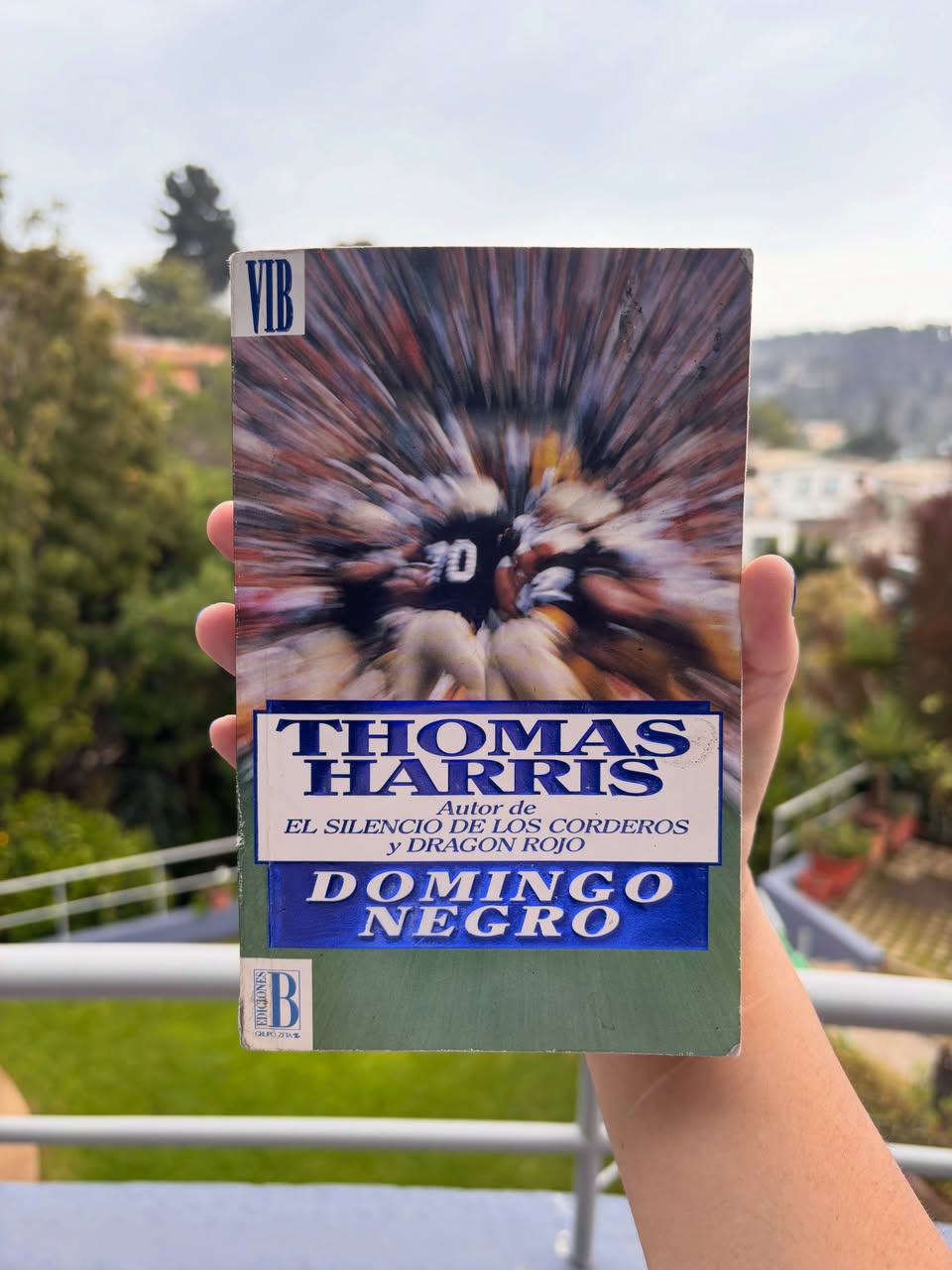DOMINGO NEGRO
