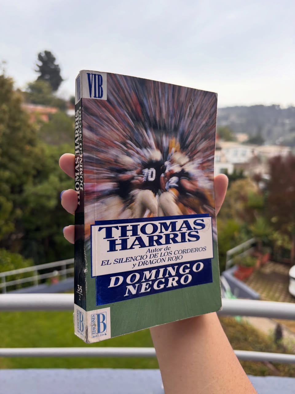 DOMINGO NEGRO - Imagen 3